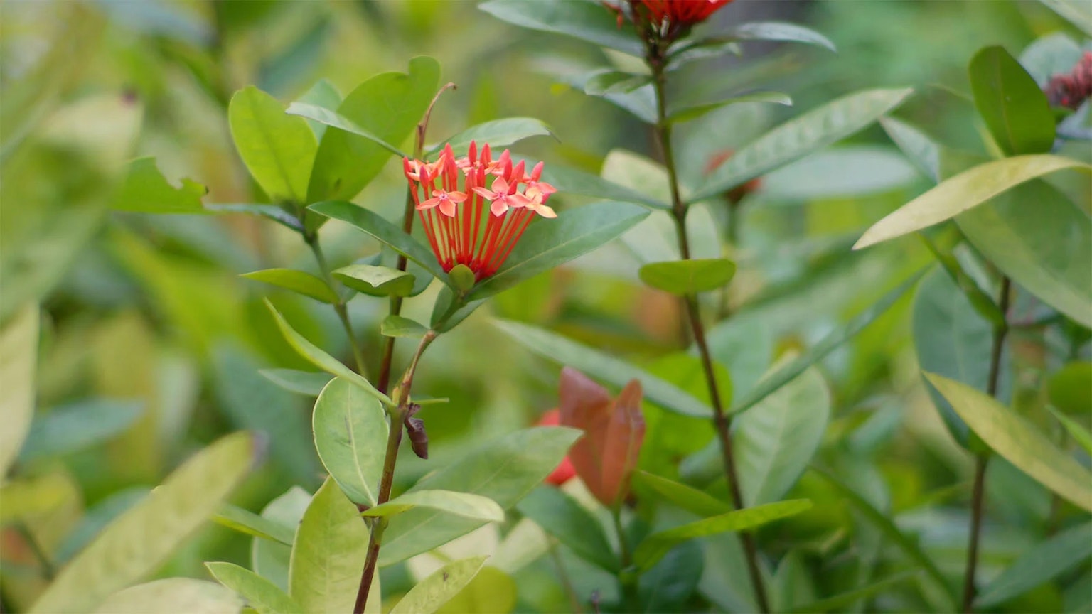 2024-06-switchlens-image-11