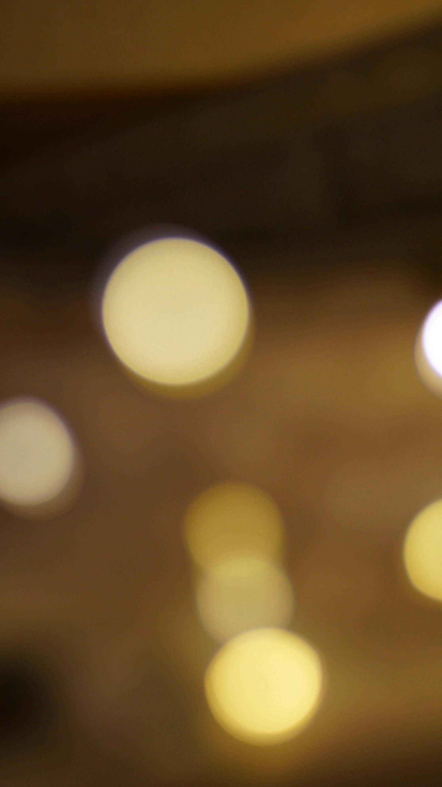 2024-11-circle-report-image-5