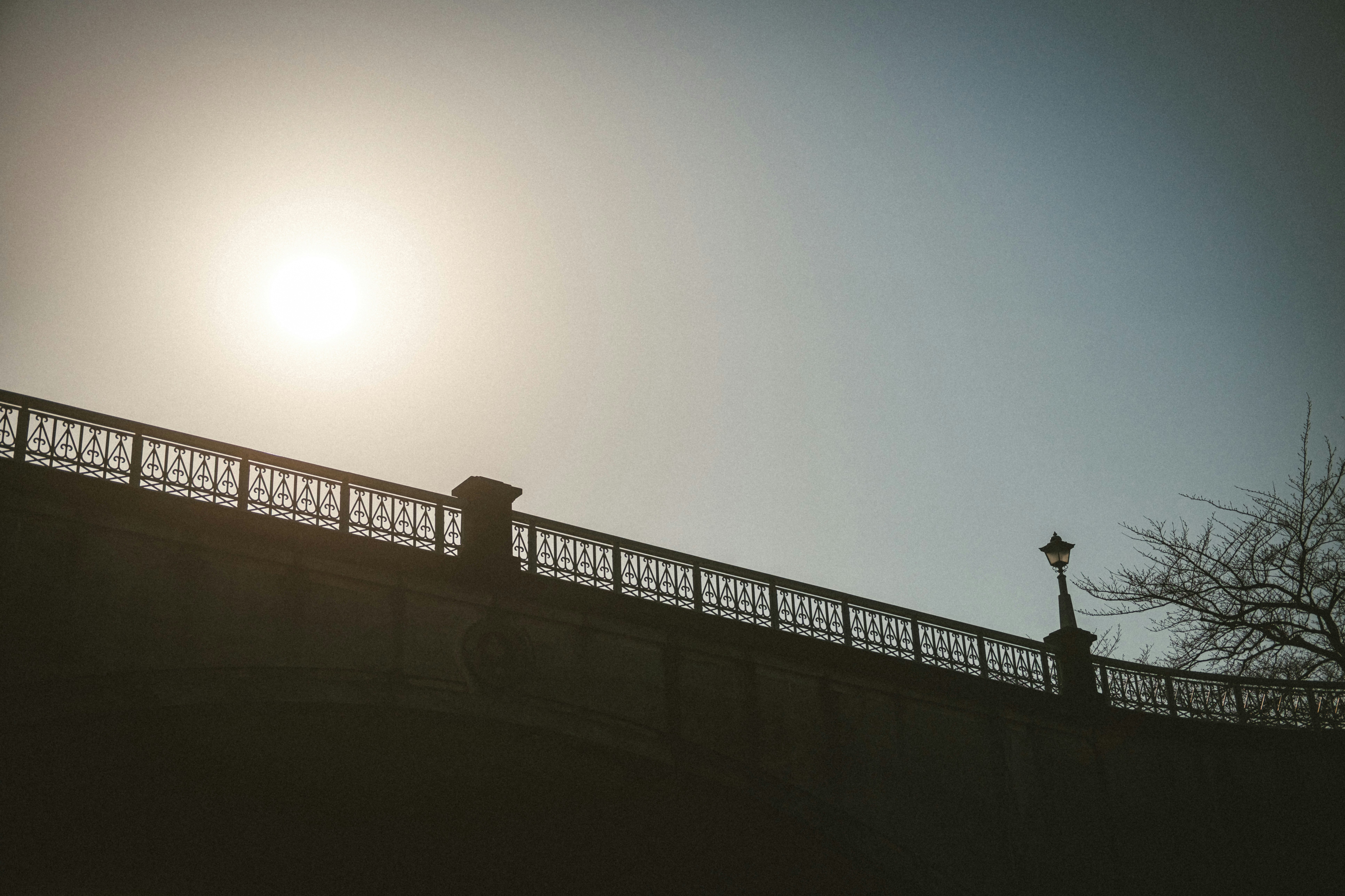 2025-09-compact-camera-comeback-cover-image