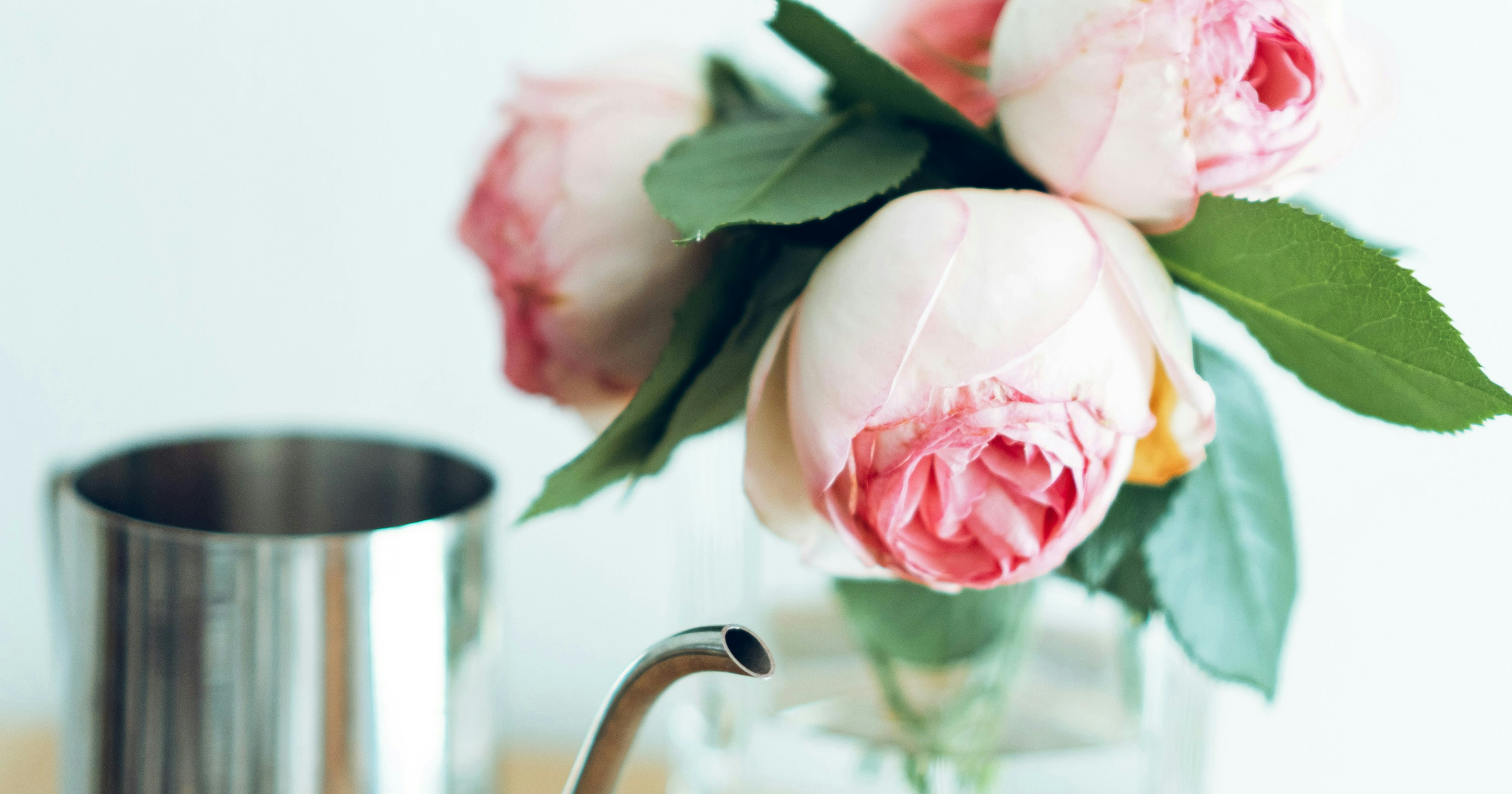 2024-12-28mm-vs-35mm-lens-guide-cover-image