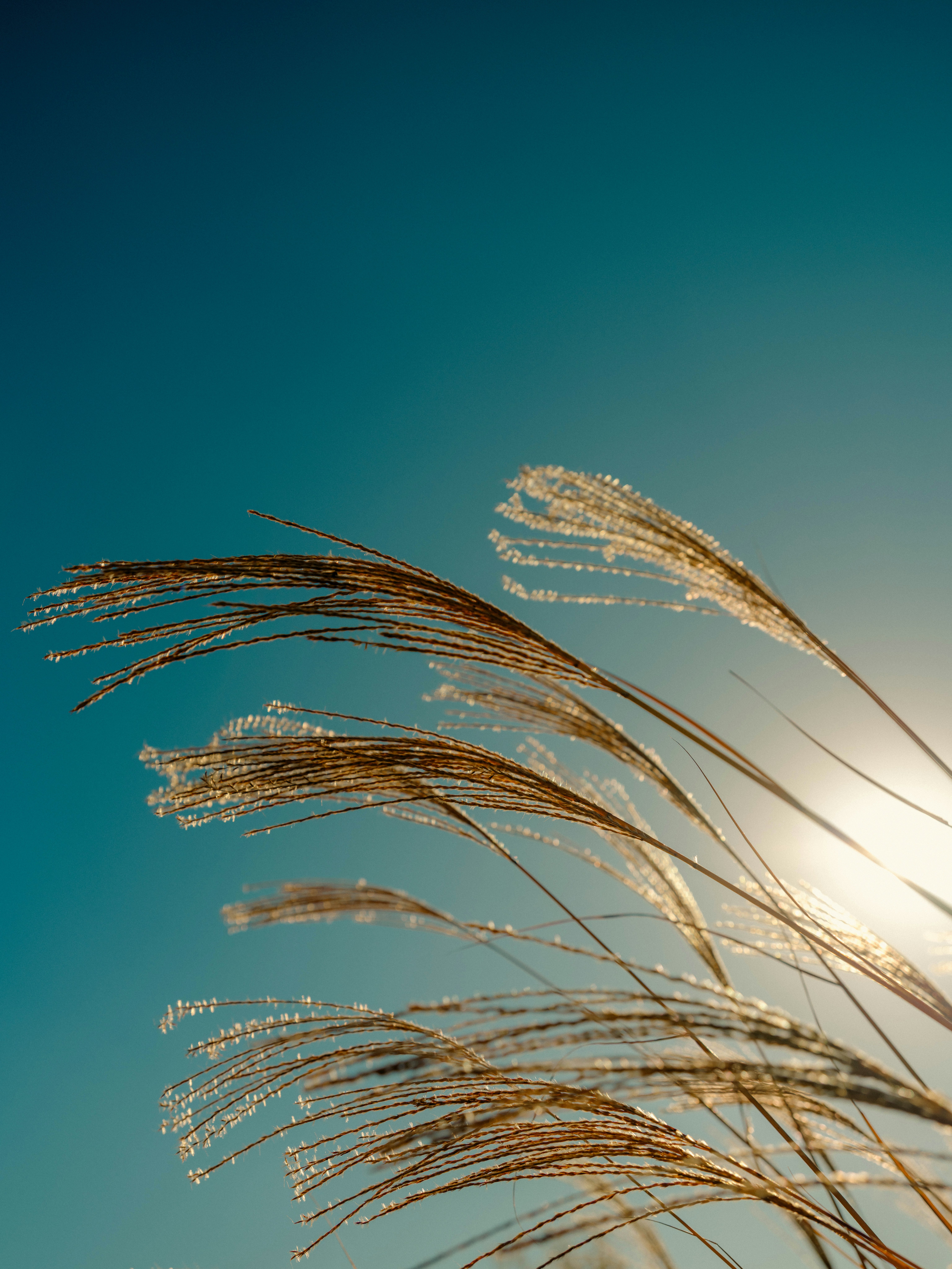 2025-12-backlight-report-image-5