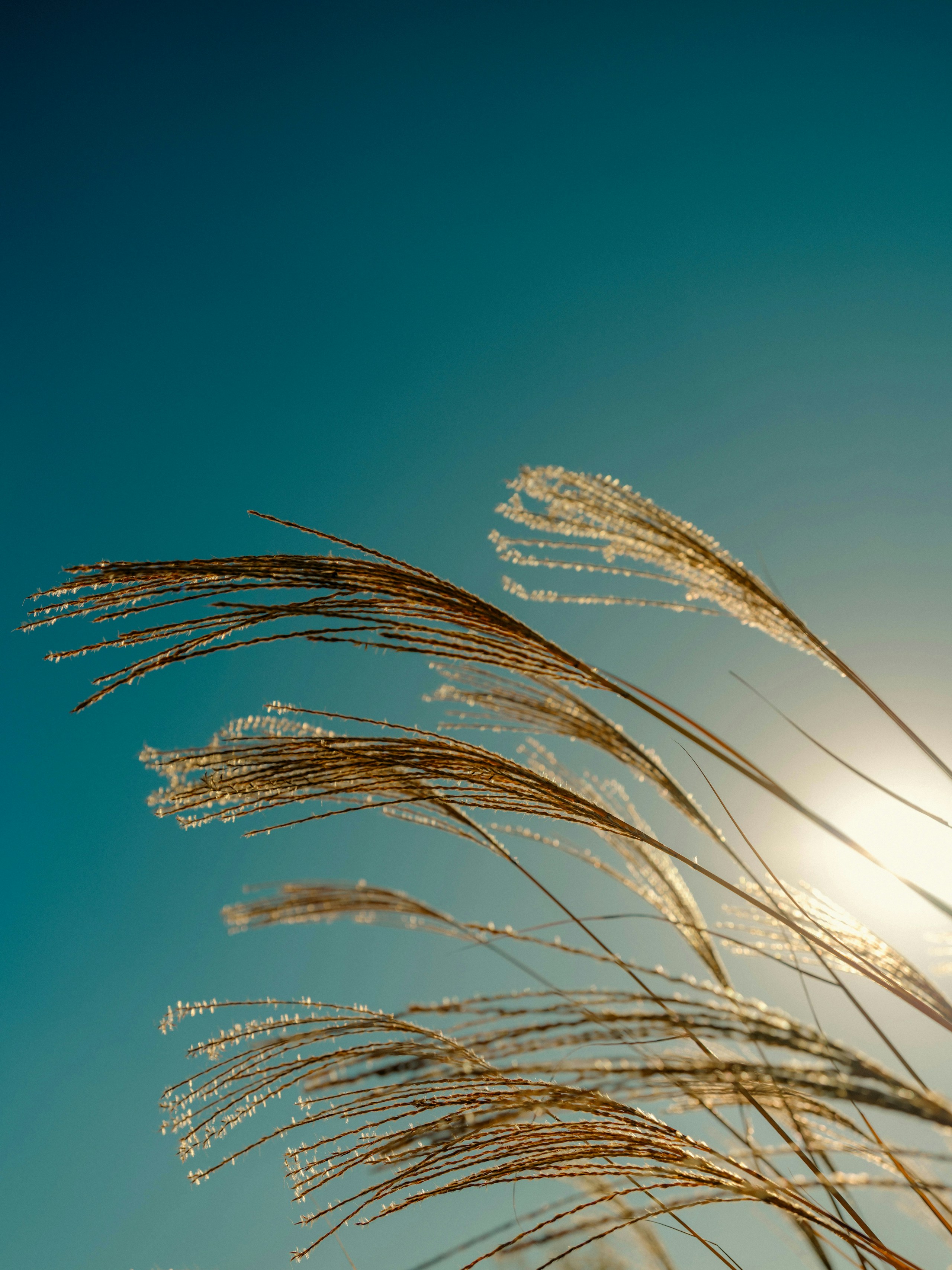 2025-12-backlight-report-image-5