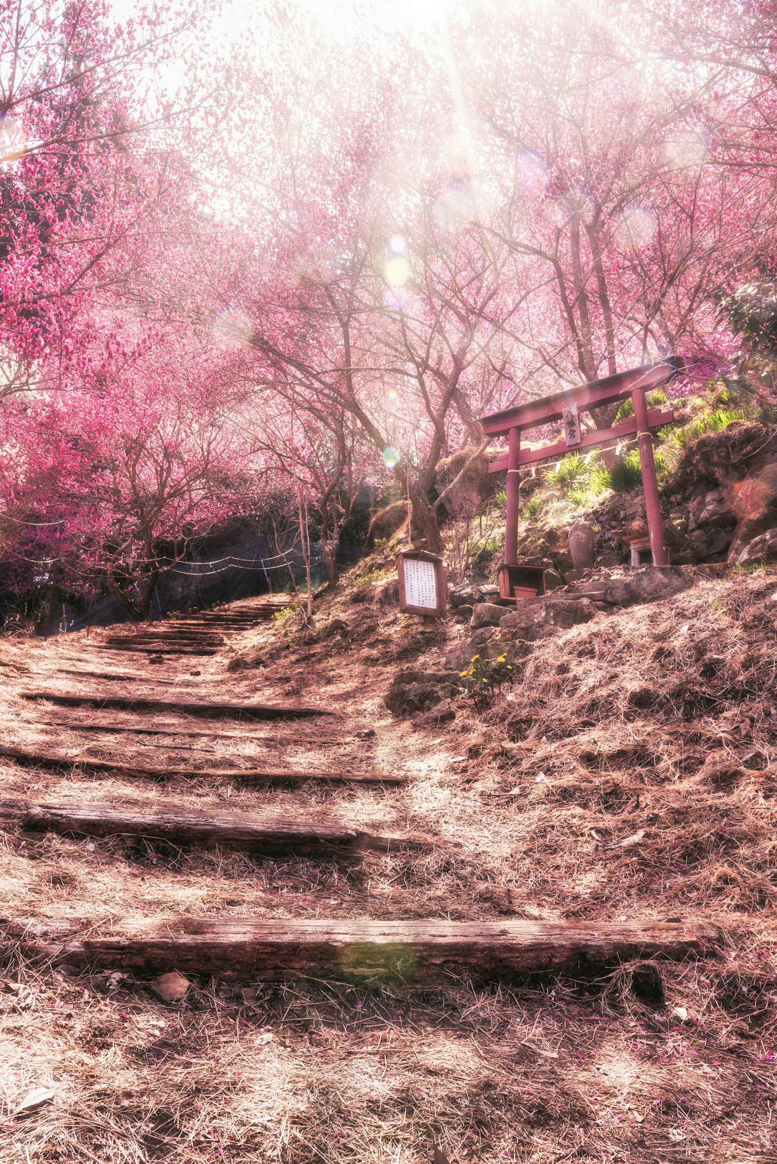 2025-04-april-diary-image-4