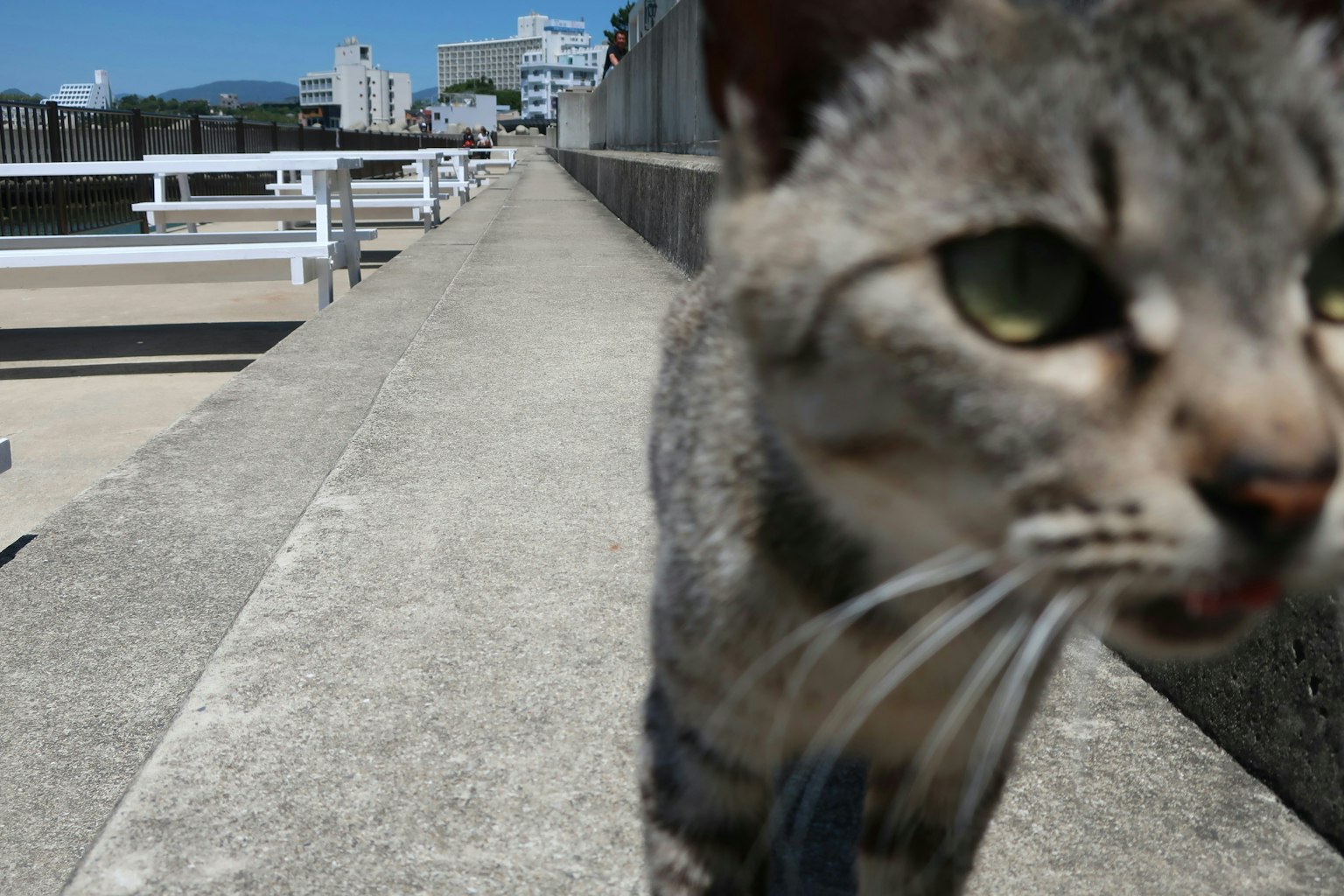 2025-04-perfectly-imperfect-image-4