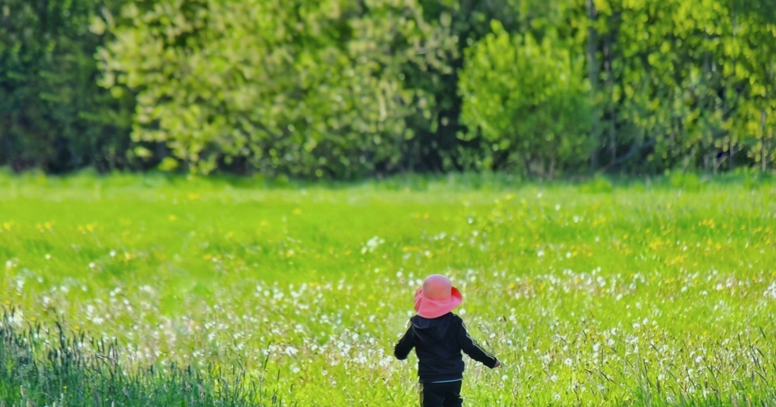 2024-09-how-are-you-doing-cover-image