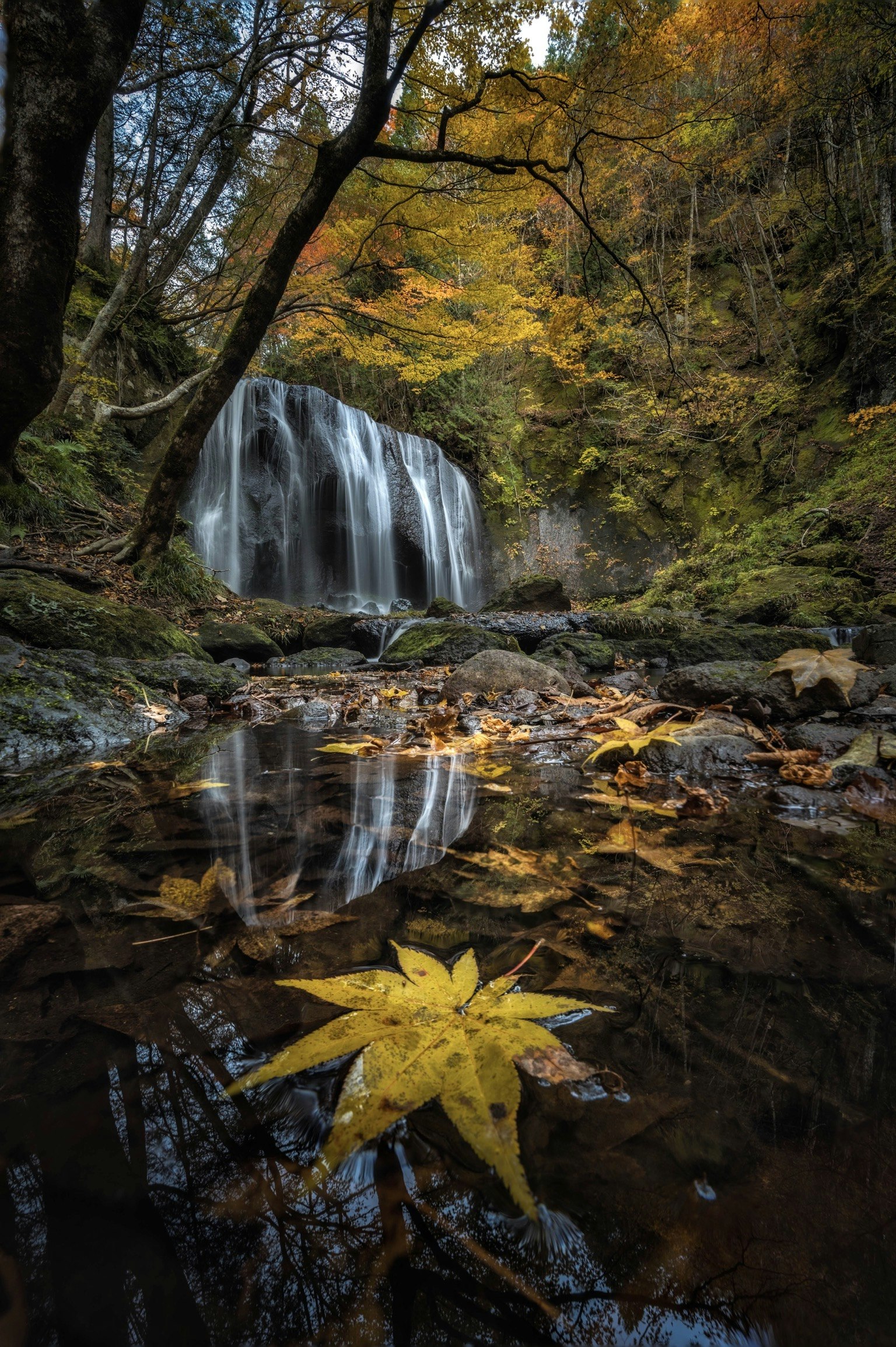 2023-12-landscape-treasures-award-image-18