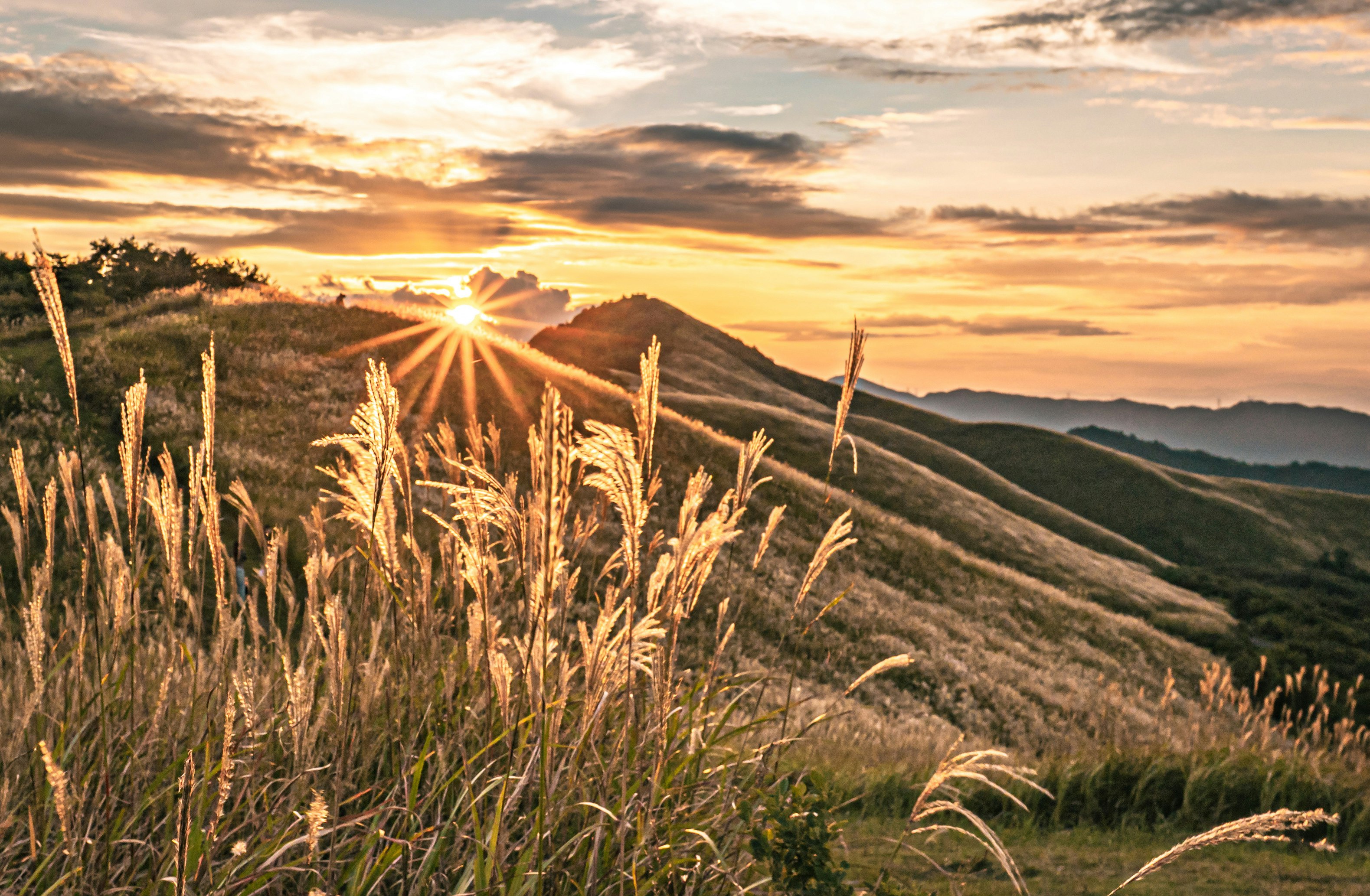 2025-10-evening-report-cover-image