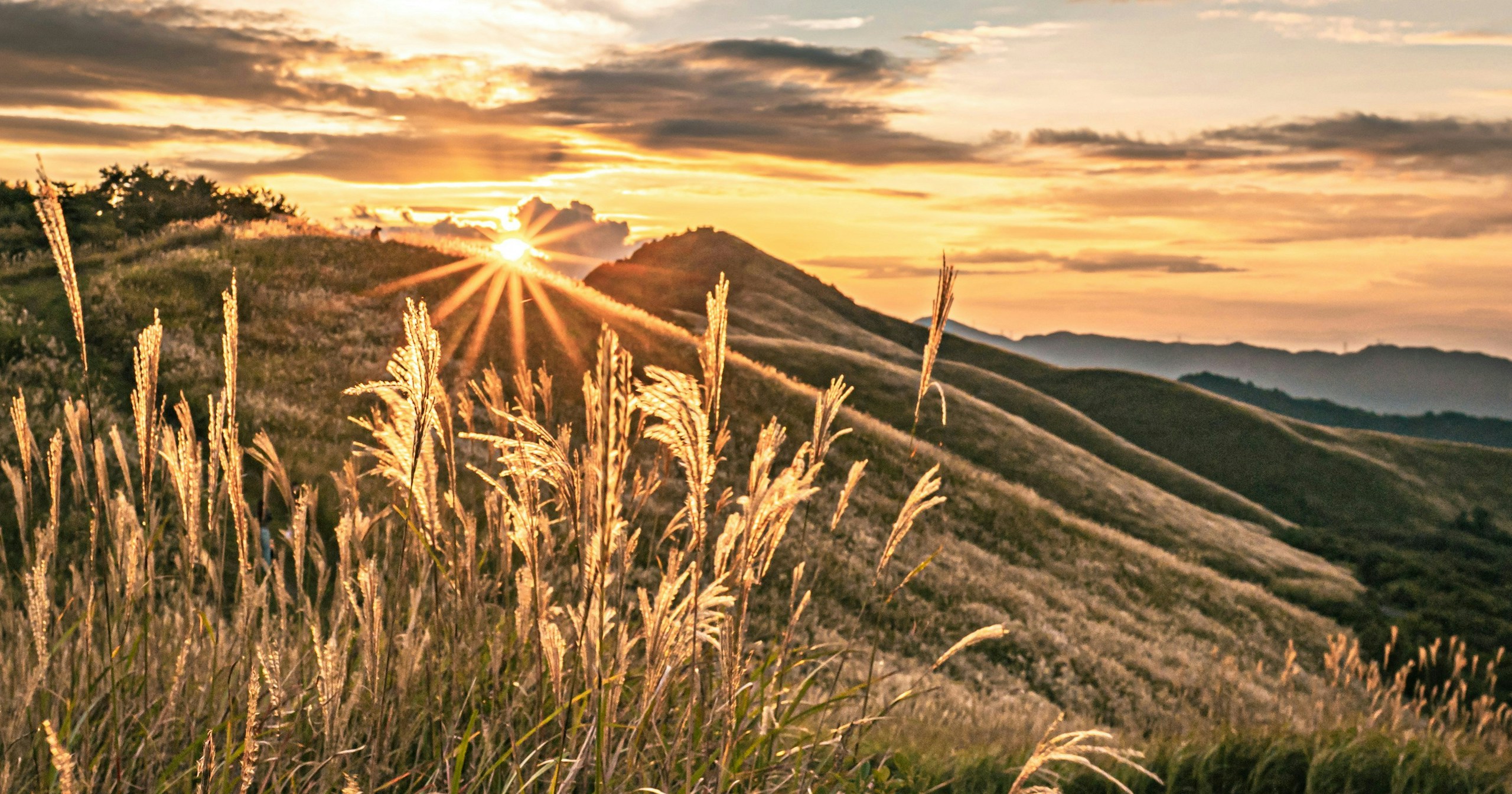 #evening | Fotos emocionales tomadas al atardecer | Focus #547