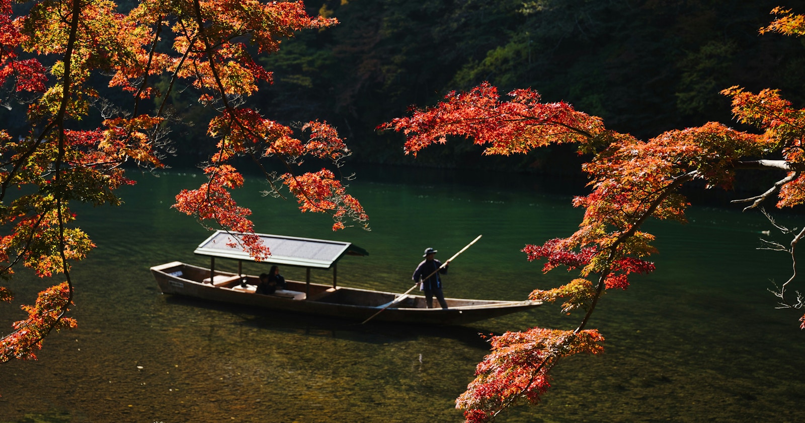#discovery | The Joy of Finding and Capturing Small Daily Changes | Focus #569