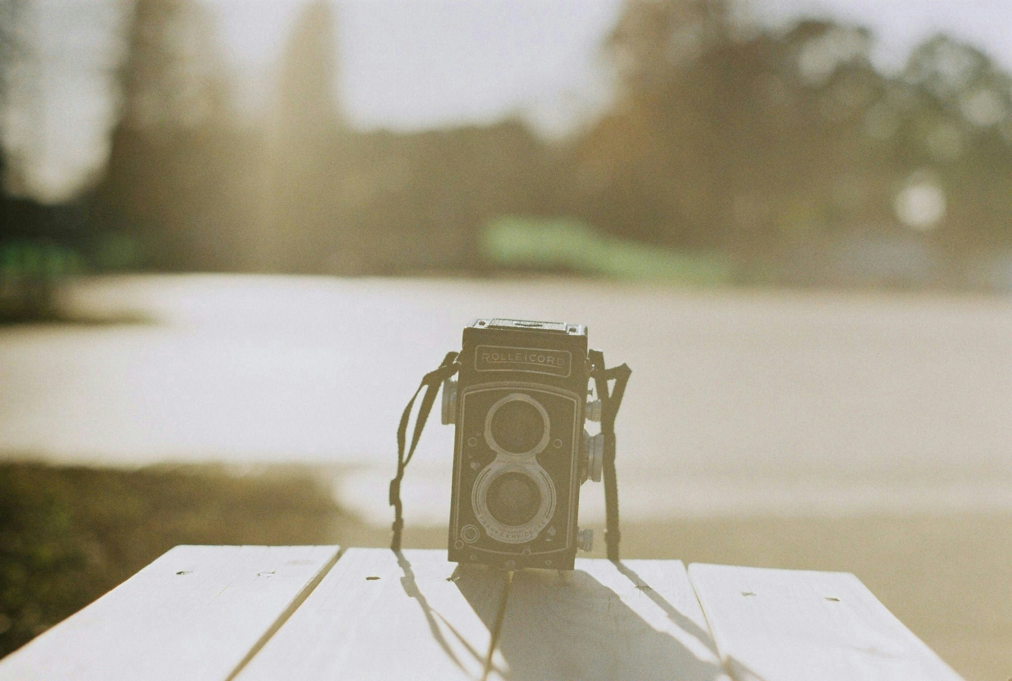 2026-03-digital-camera-market-image-9
