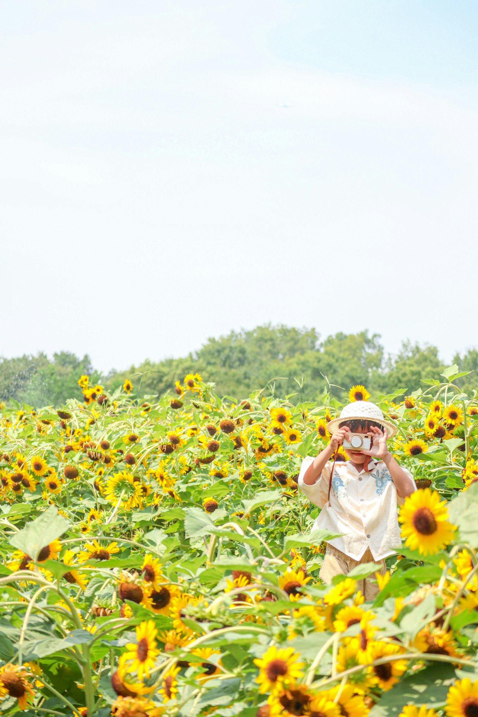 2025-12-parks-vibes-award-image-8