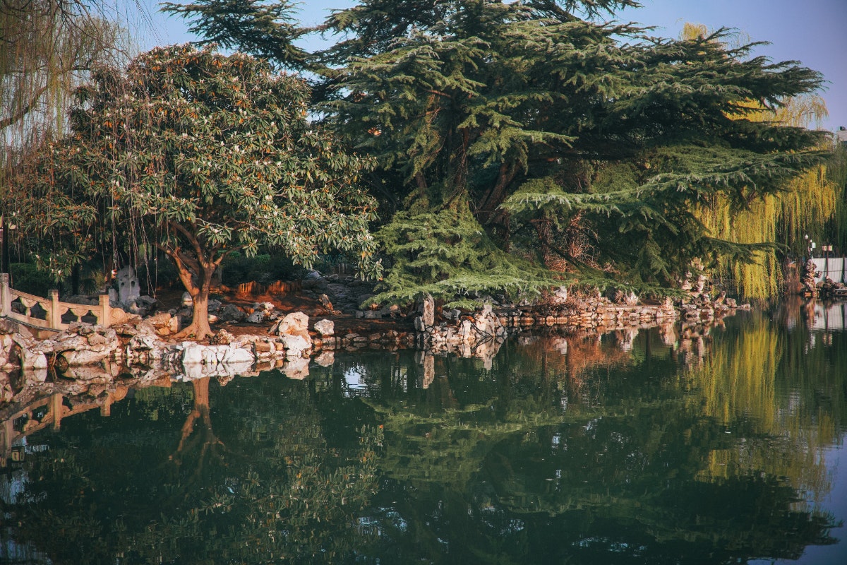 2024-04-7artisans-af-27mm-image-10