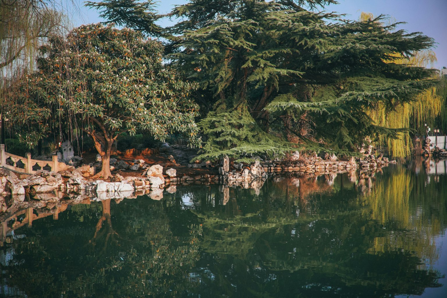 2024-04-7artisans-af-27mm-image-10