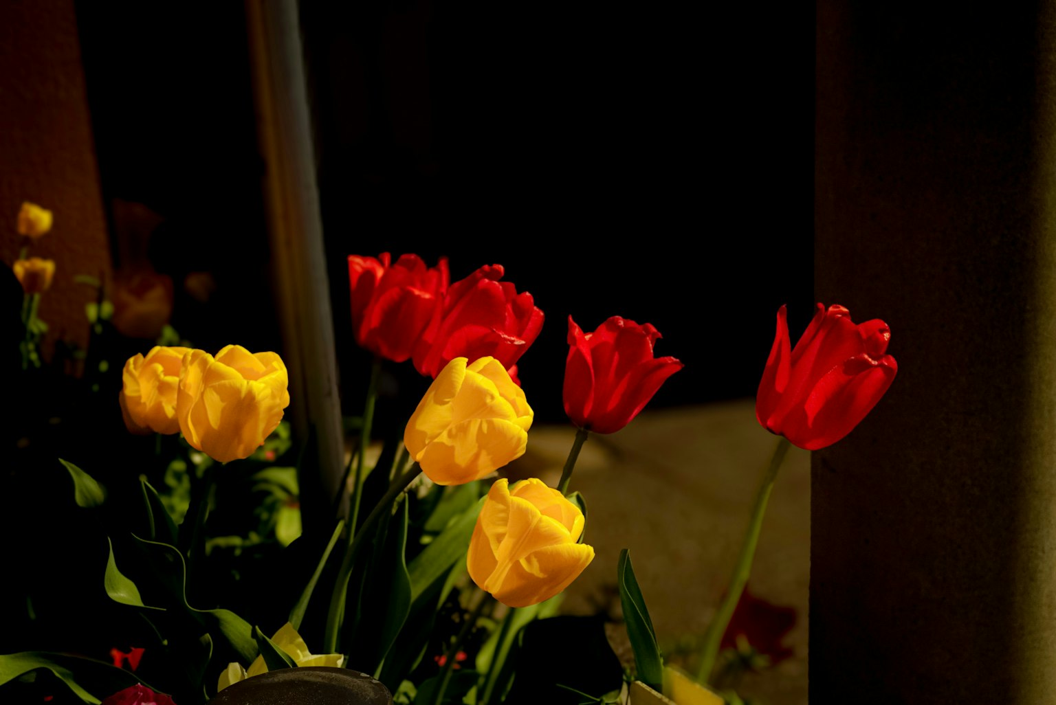 2025-04-local-report-image-9