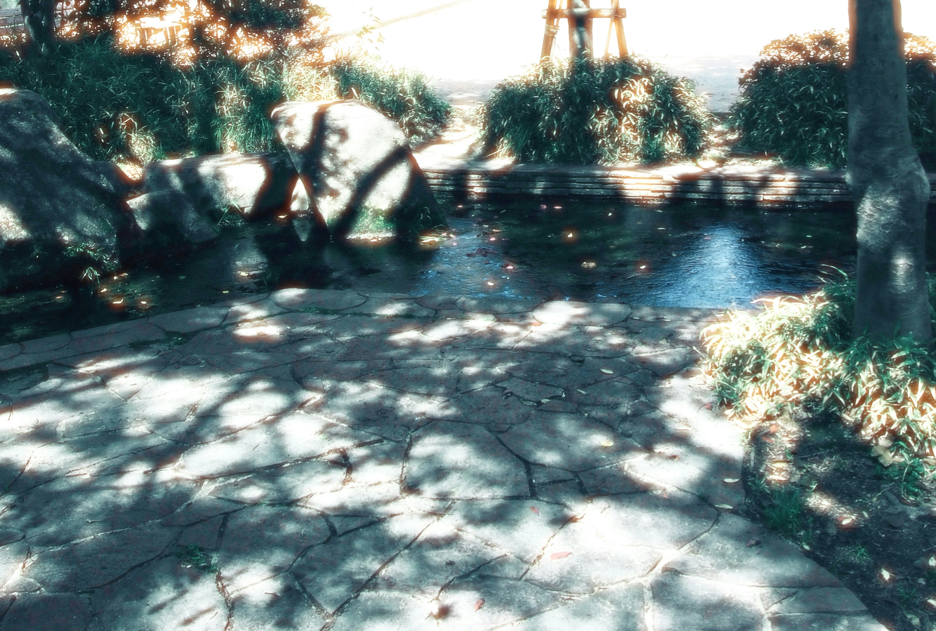 Photo by ヤマカワ