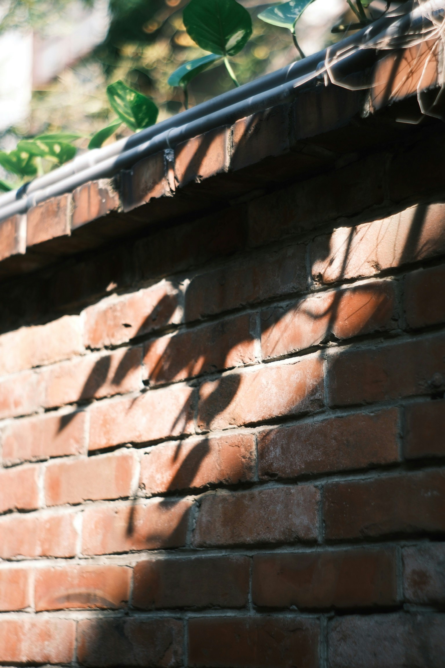 2026-01-shadows-of-window-light-image-9