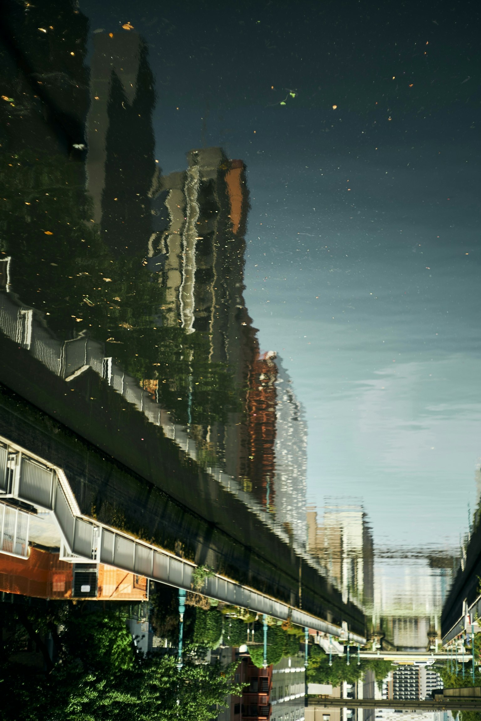 2025-11-pick-up-photos-no-244-248-image-9