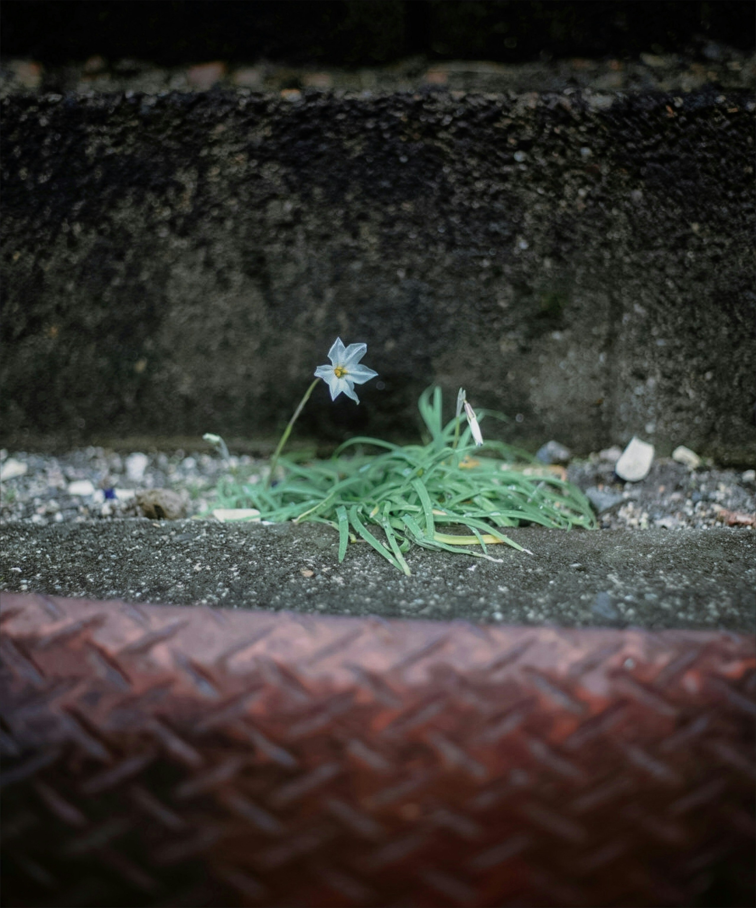 Foto di saciiiko