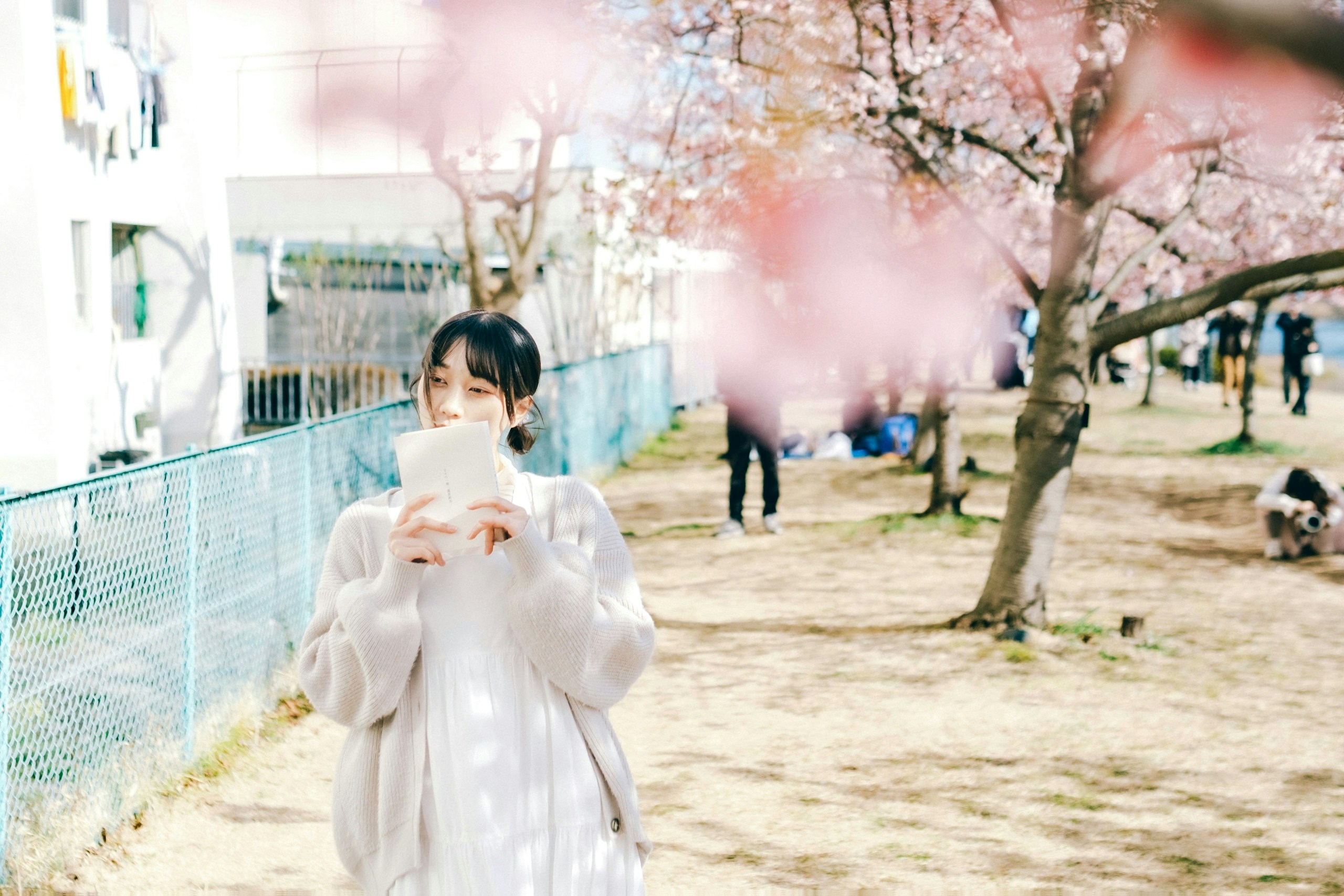 2025-08-photography-like-love-letter-image-2