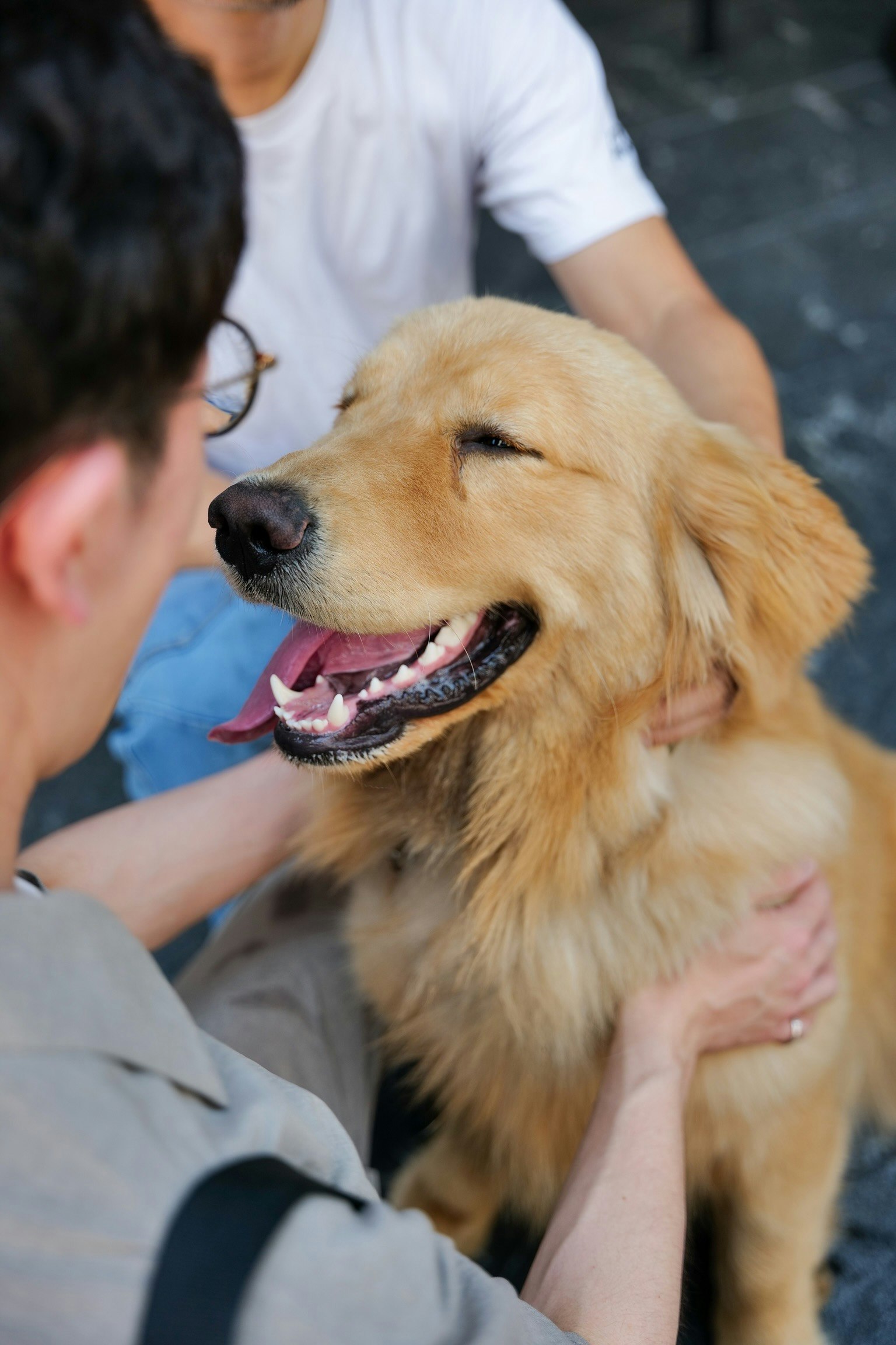 2024-01-posotive-effects-of-photograhy-image-9