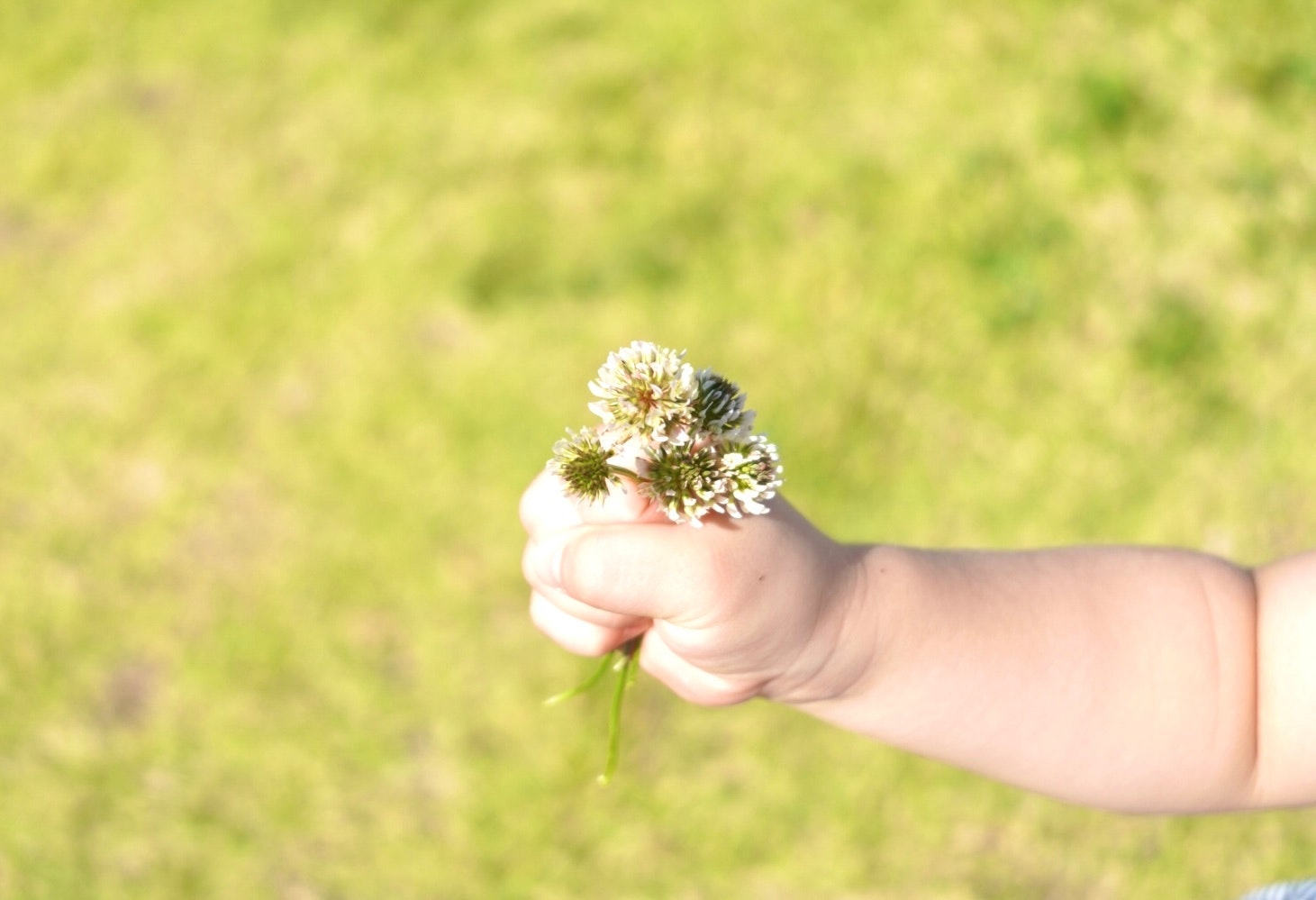 2025-06-sony-released-camera-verify-image-5