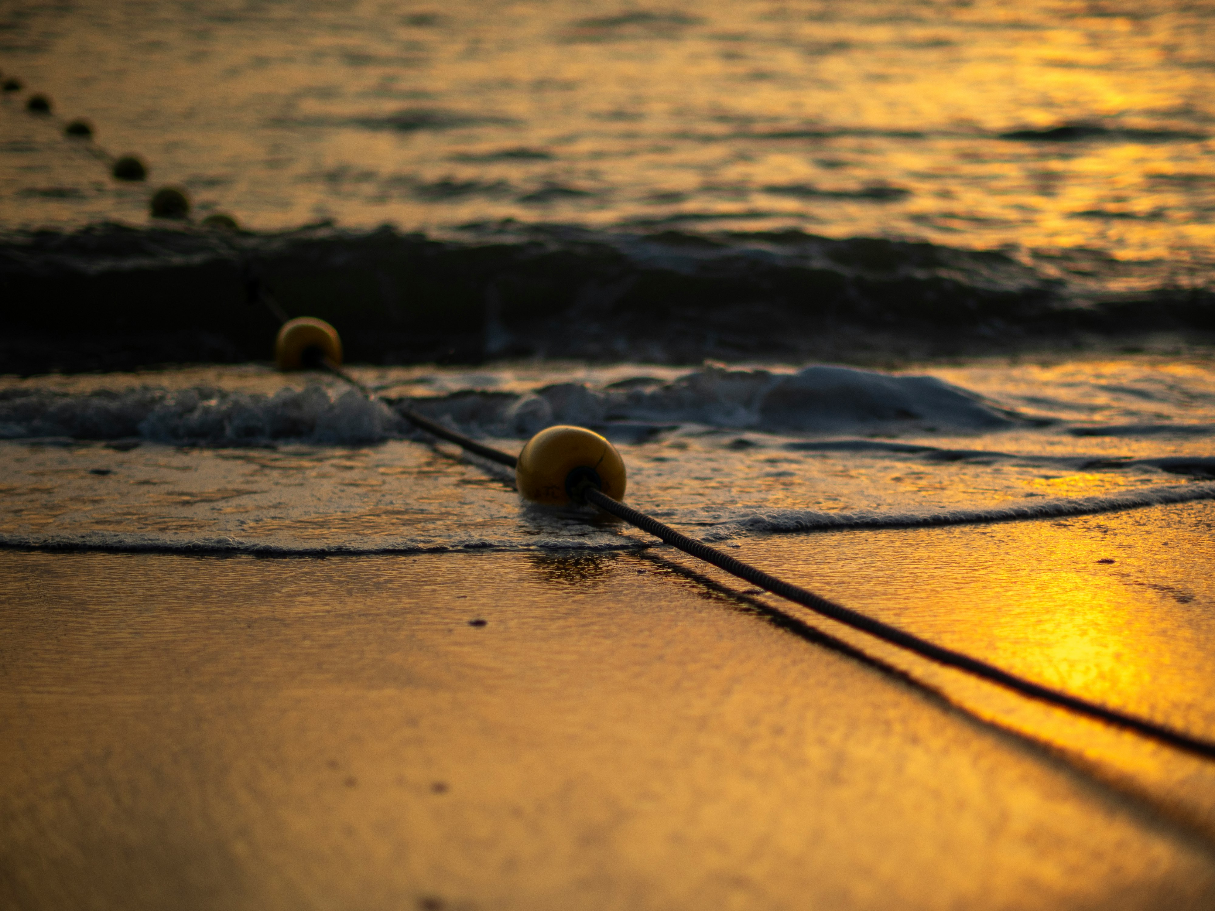 2026-04-single-color-photography-cover-image