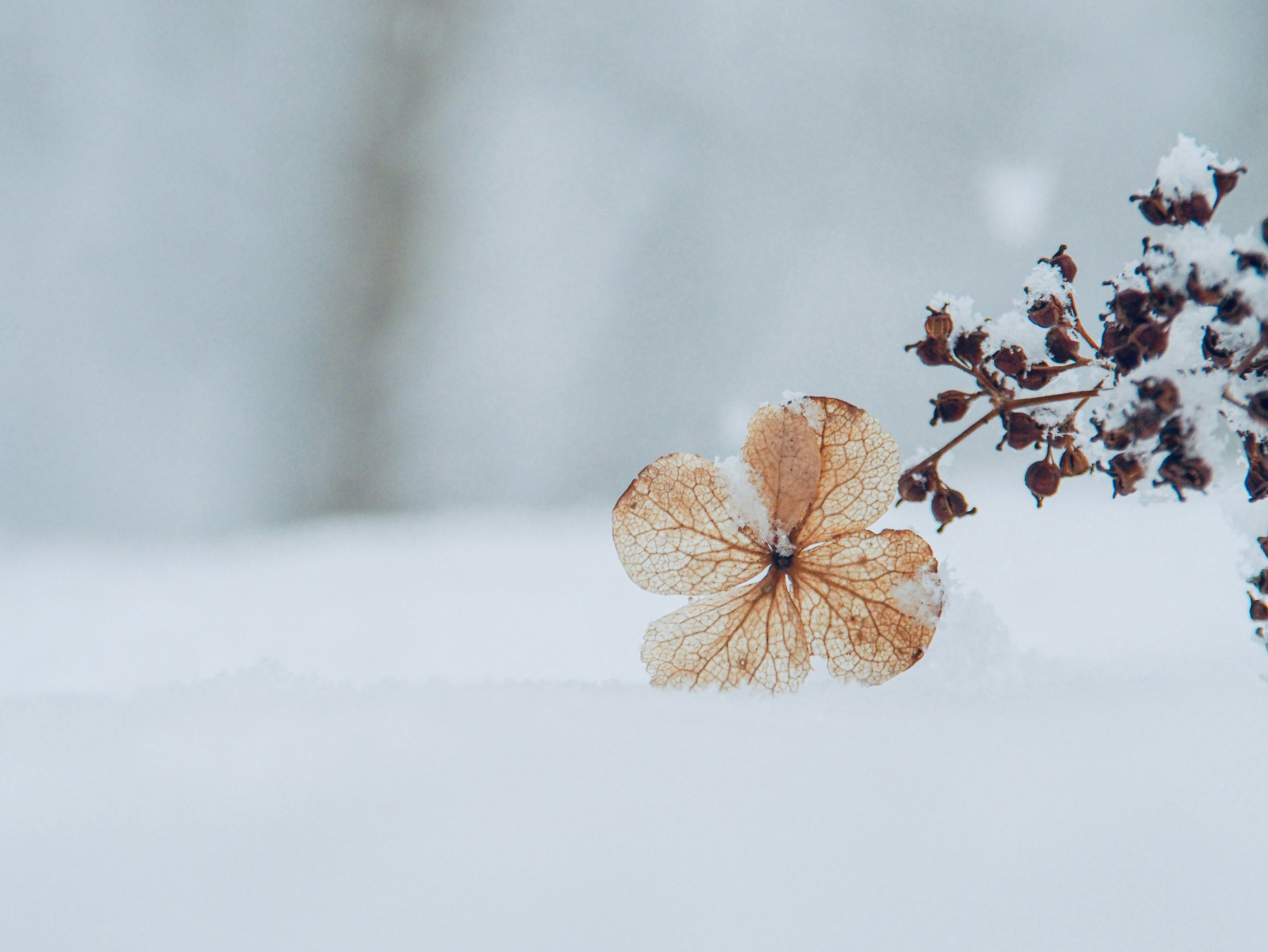 2026-01-white-cover-image