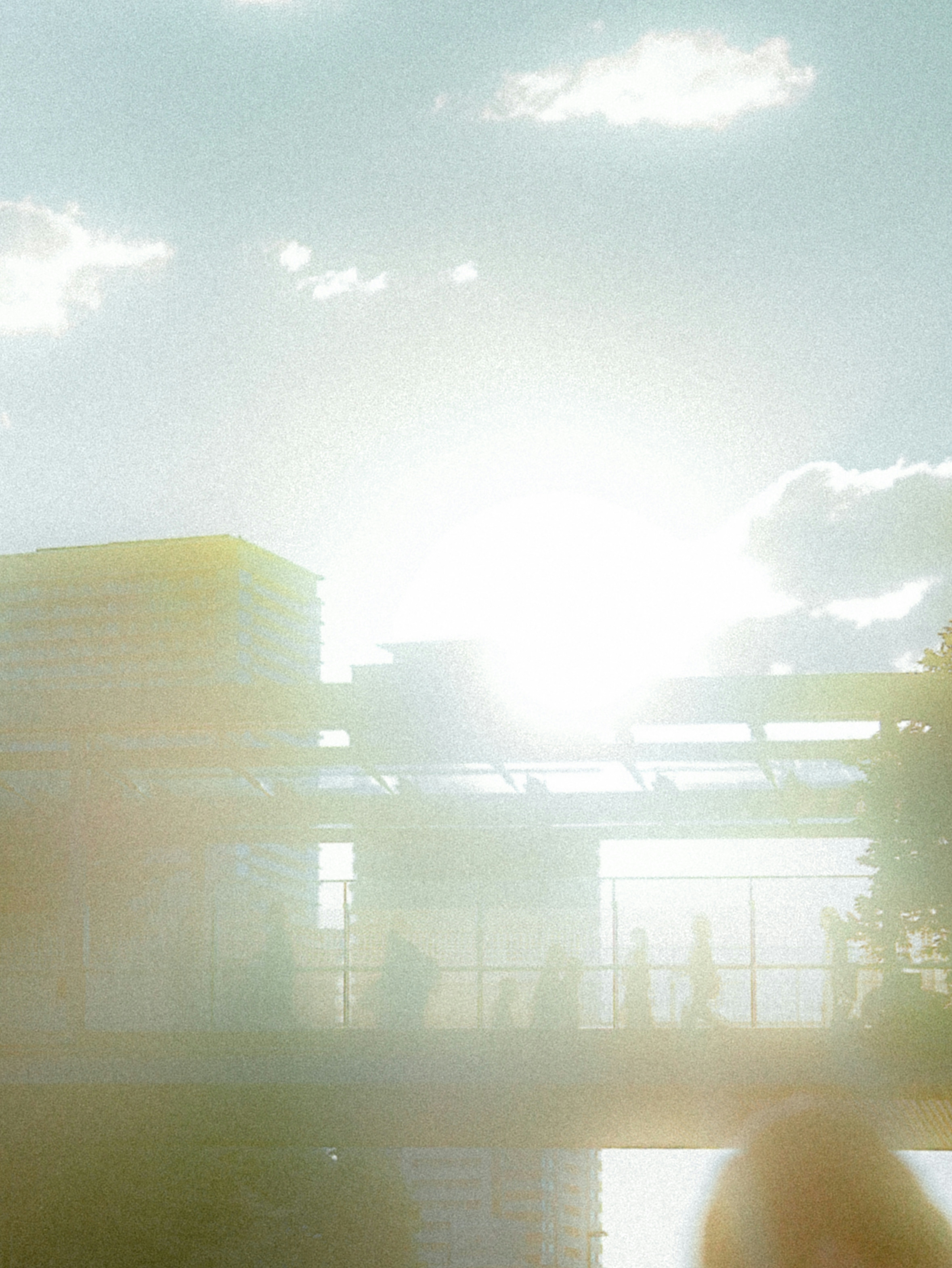 2026-07-summer-image-7