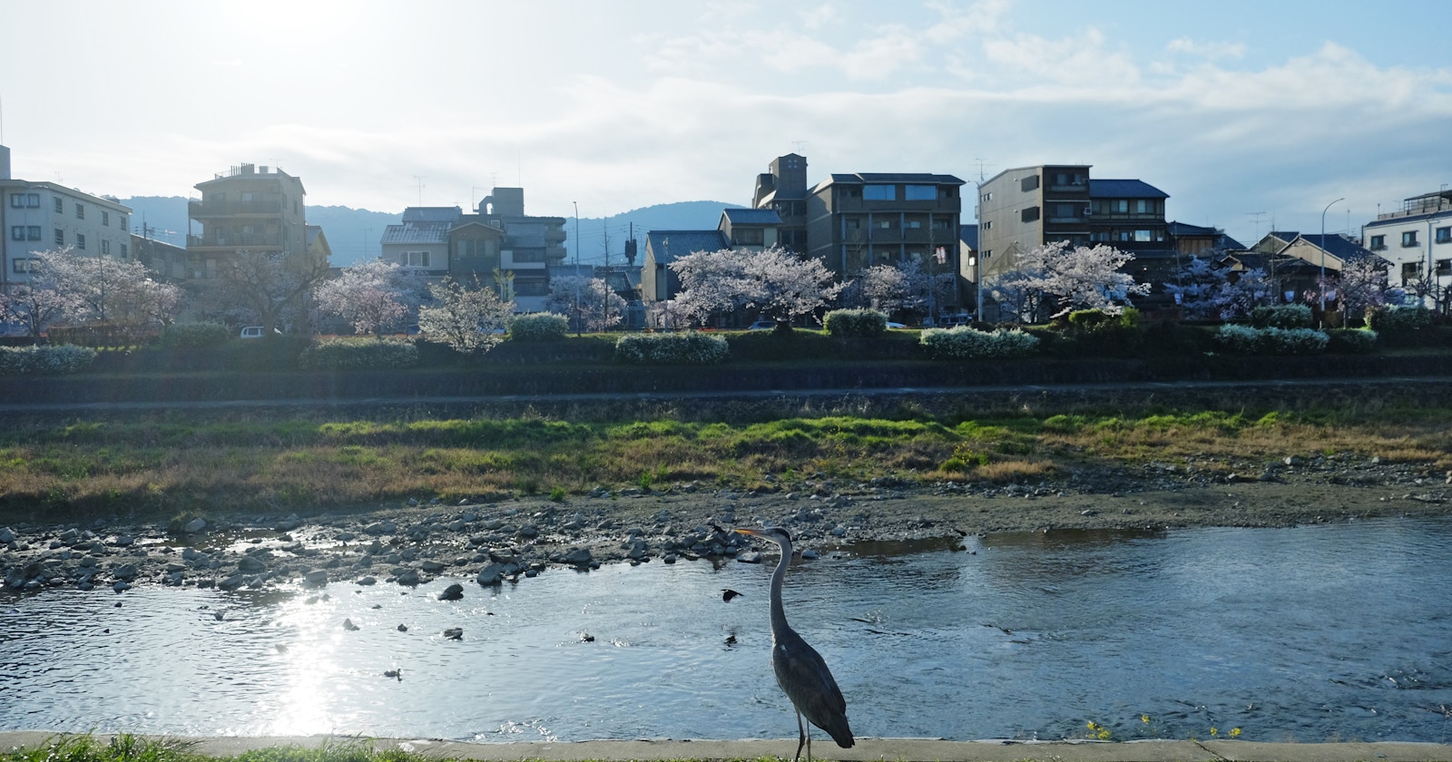 Cách tận hưởng mùa hè ở Kyoto | Focus #204