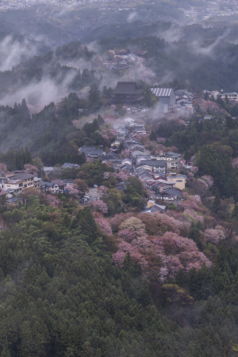 2024-07-nikon-z-mount-lens-image-13