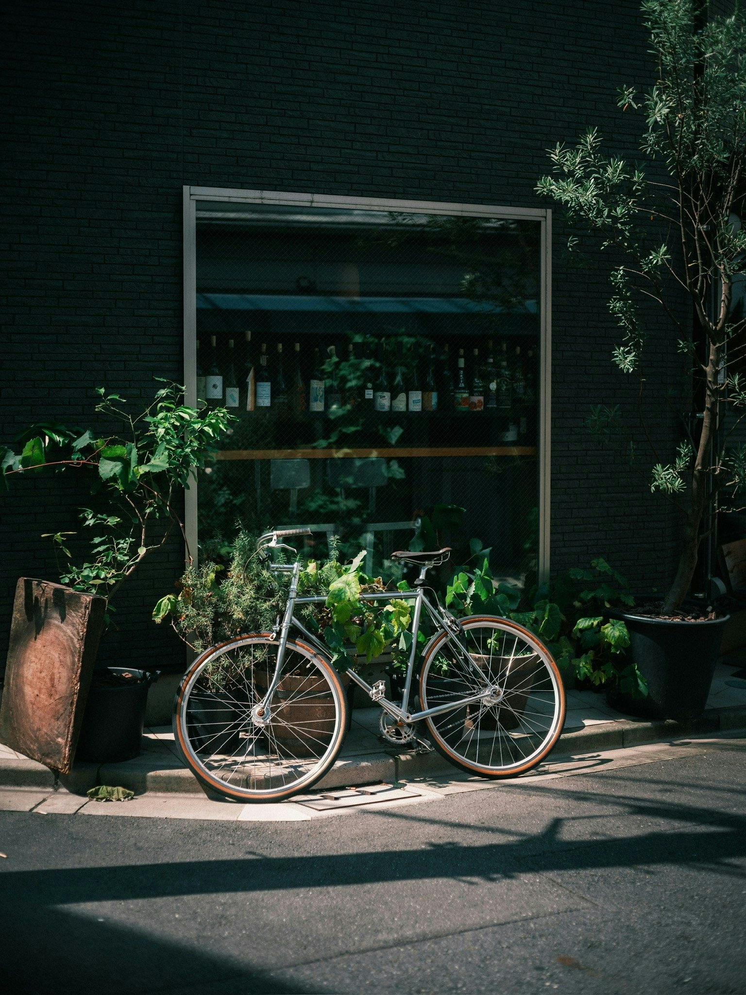 2024-12-hao-daily-color-memories-image-18