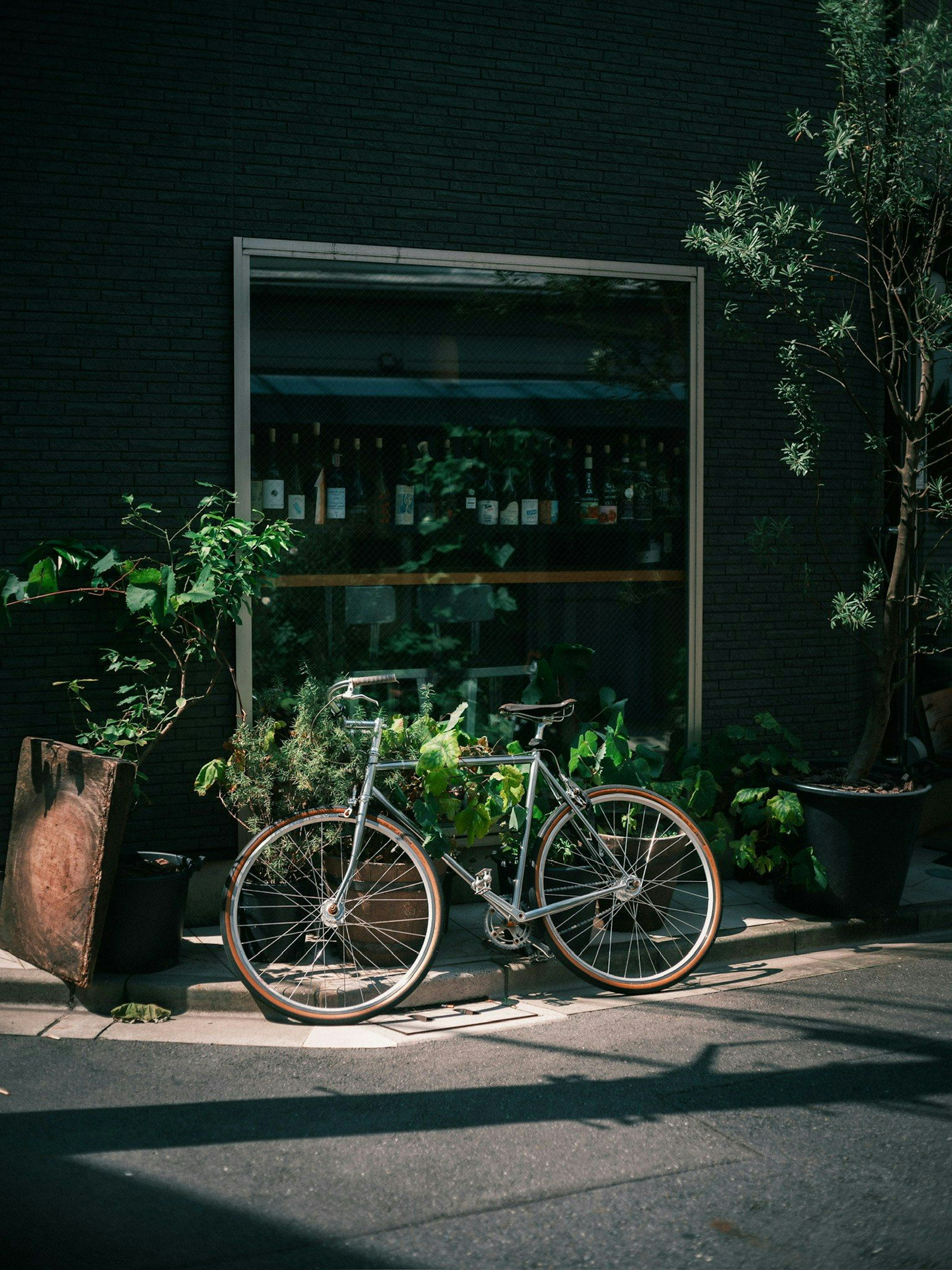 2024-12-hao-daily-color-memories-image-18