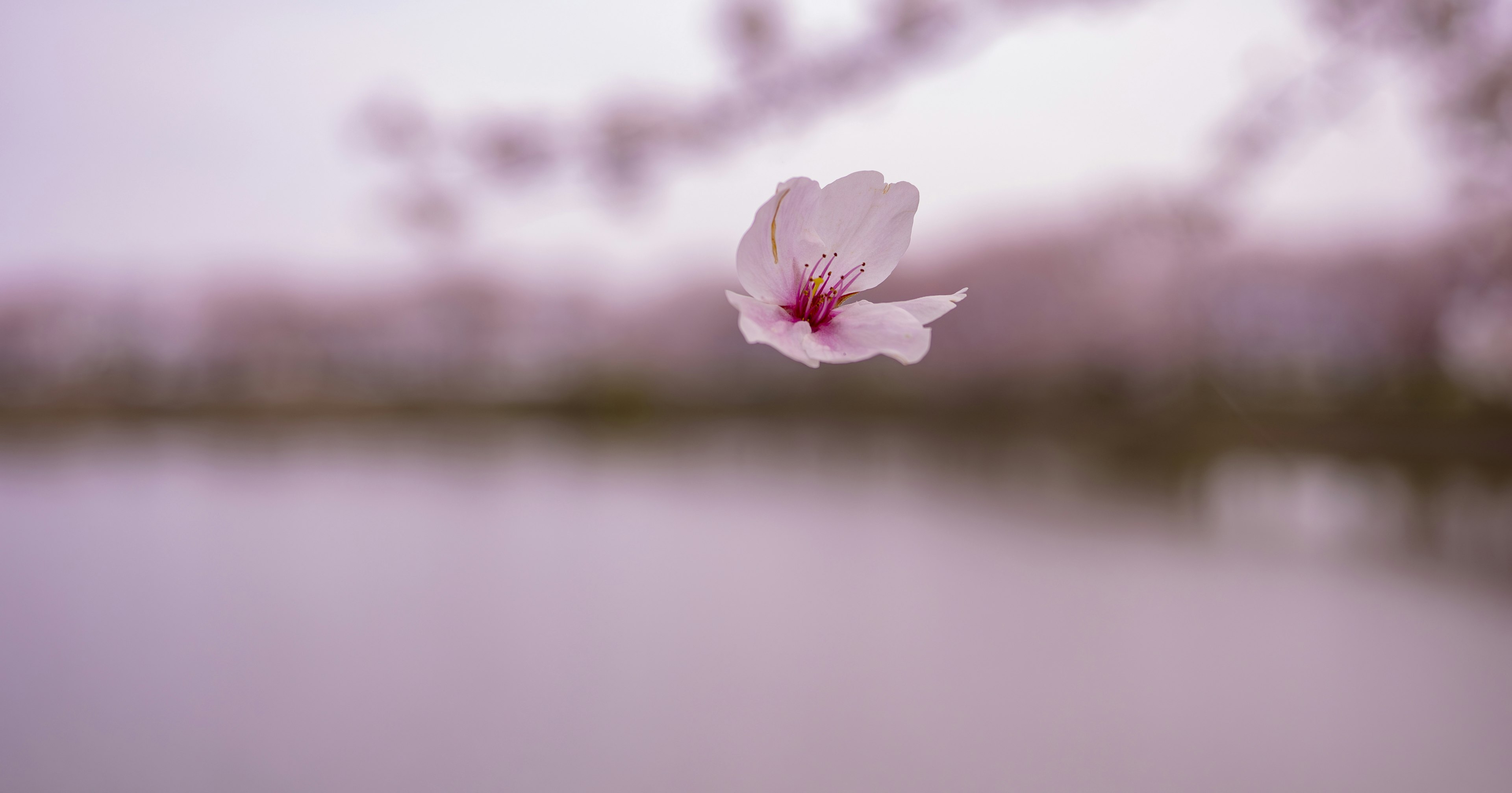 2024-08-outof-focus-cover-image