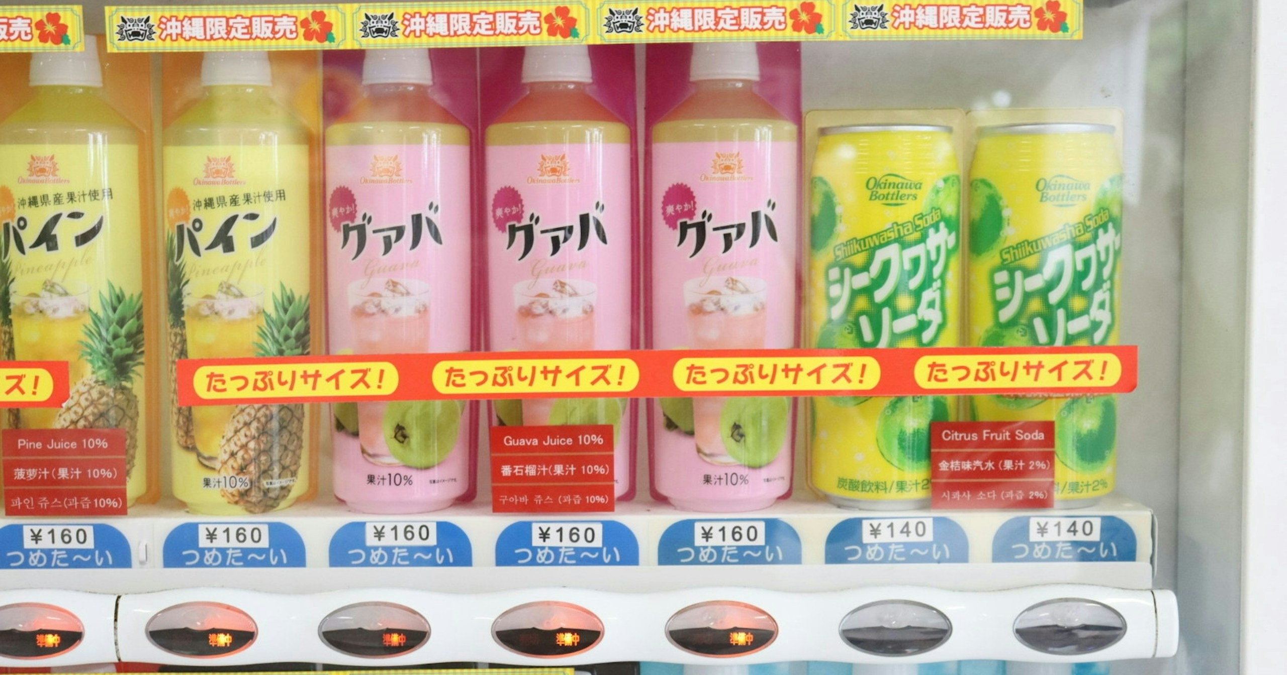 日本らしさを、見慣れた風景のなかに探す | Knowledge #538