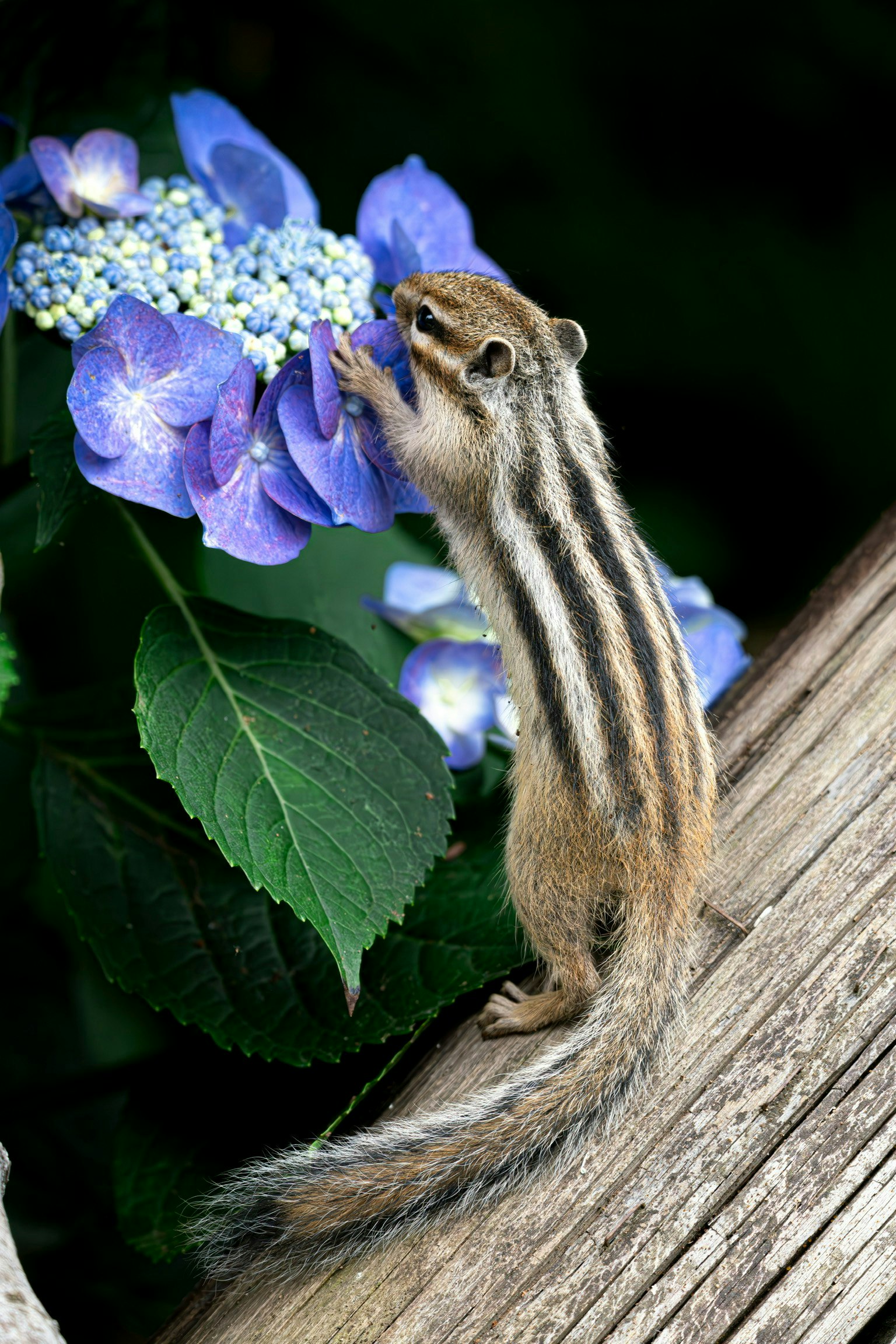 2025-05-pick-up-photos-no-139-143-image-7