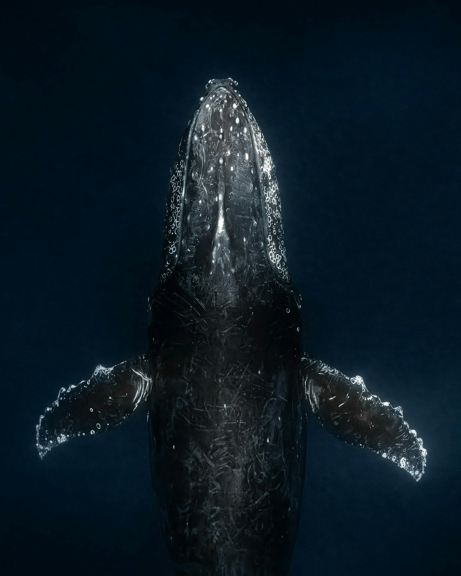 ue1if328vlxm-image-2