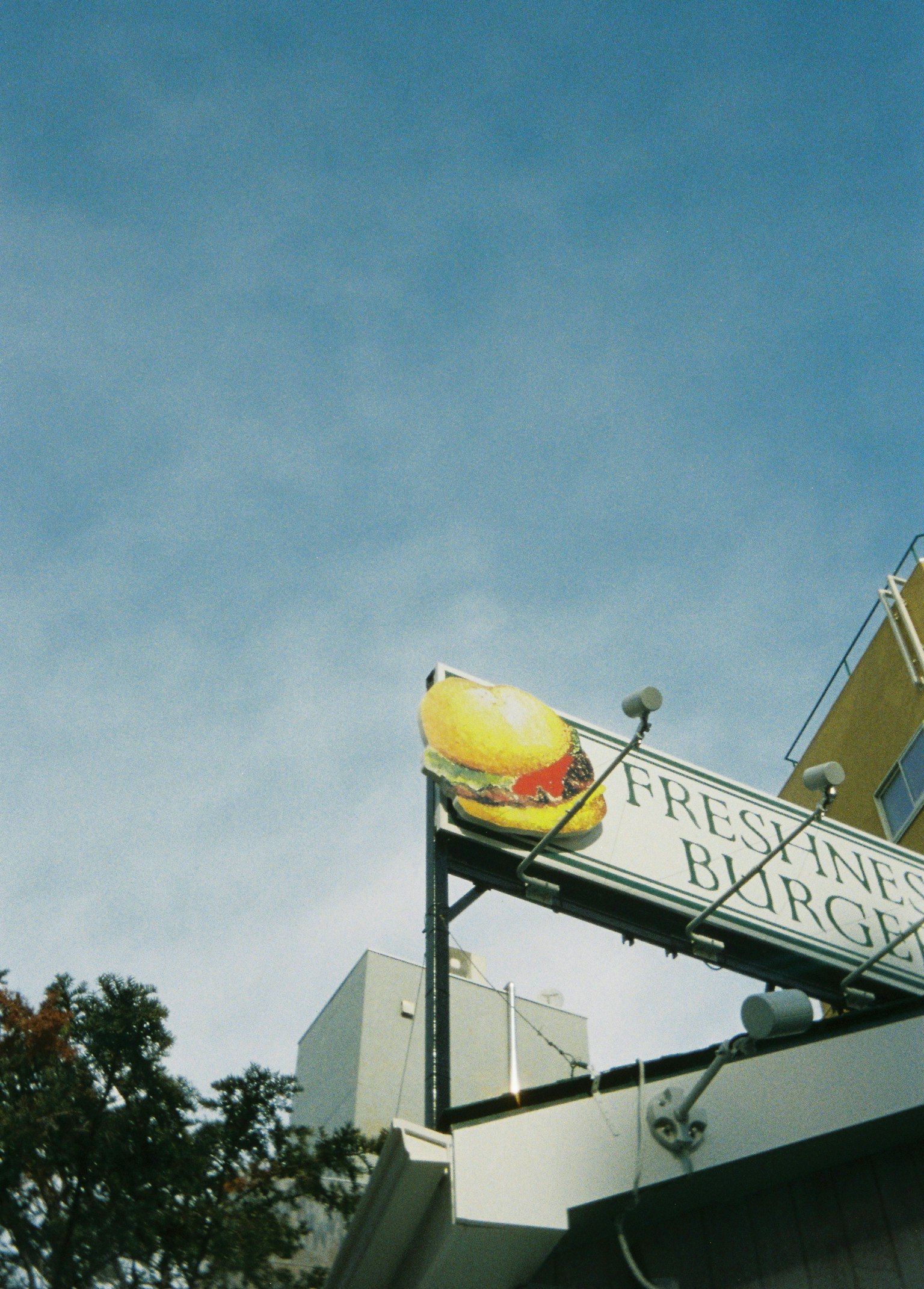 2025-03-momo-film-camera-beginner-kodak-ektar-h35n-image-8