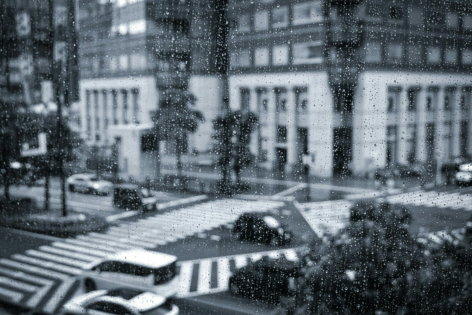 2025-07-living-with-rain-award-image-8