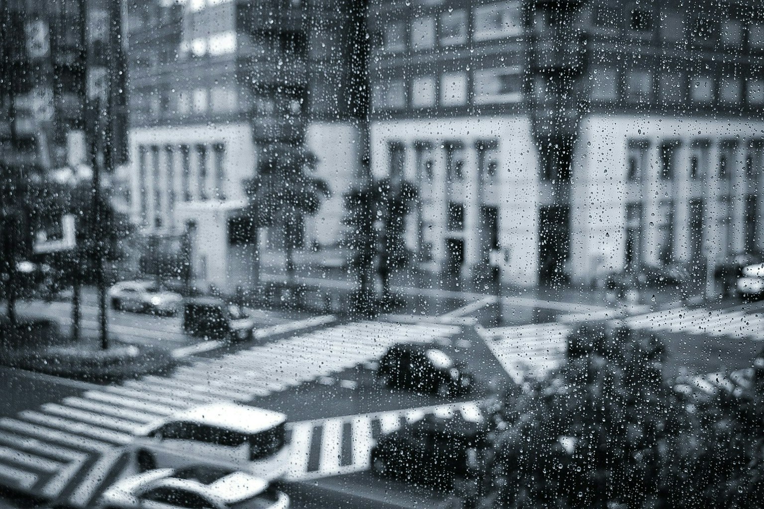 2025-07-living-with-rain-award-image-8