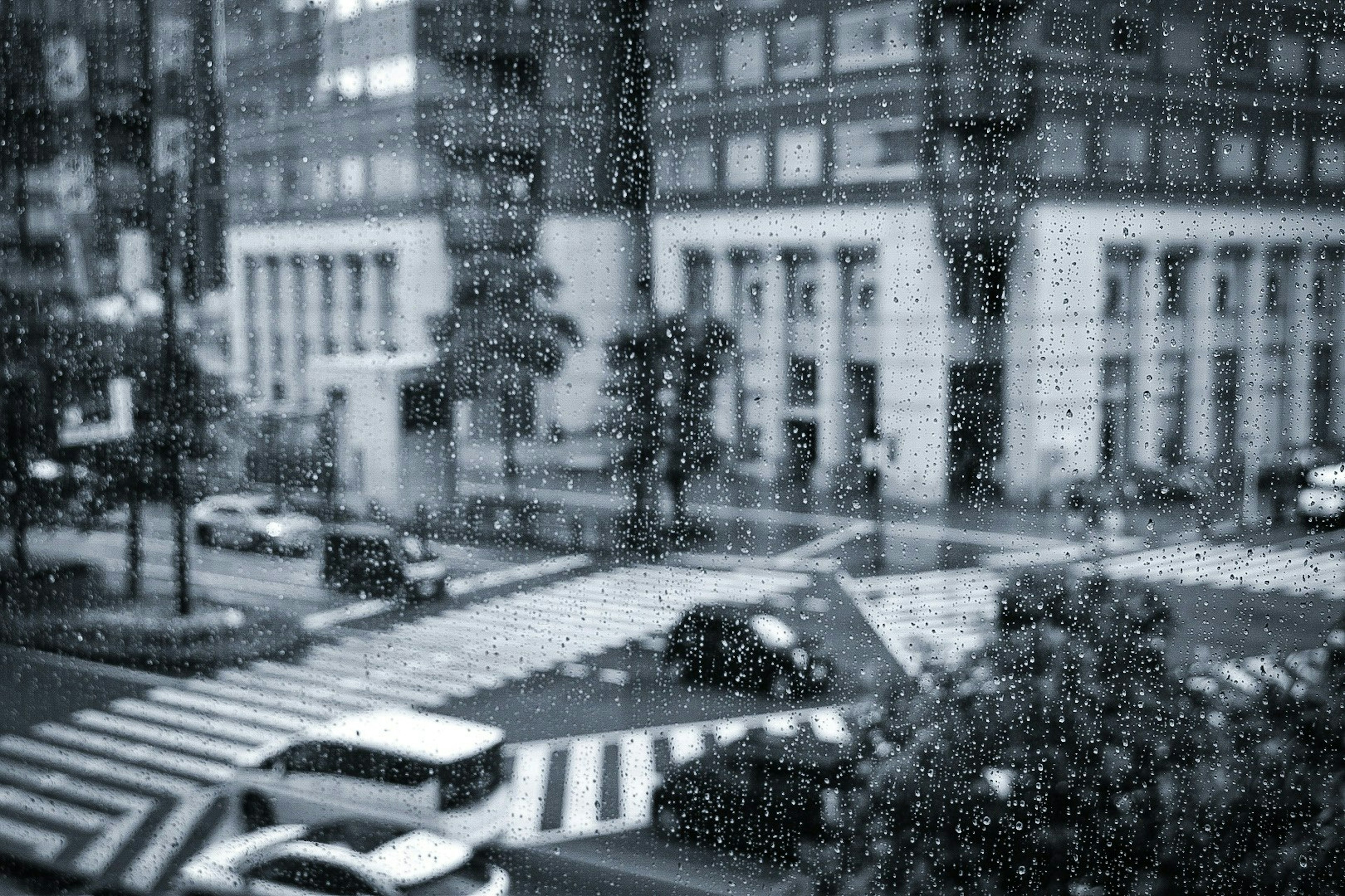 2025-07-living-with-rain-award-image-8
