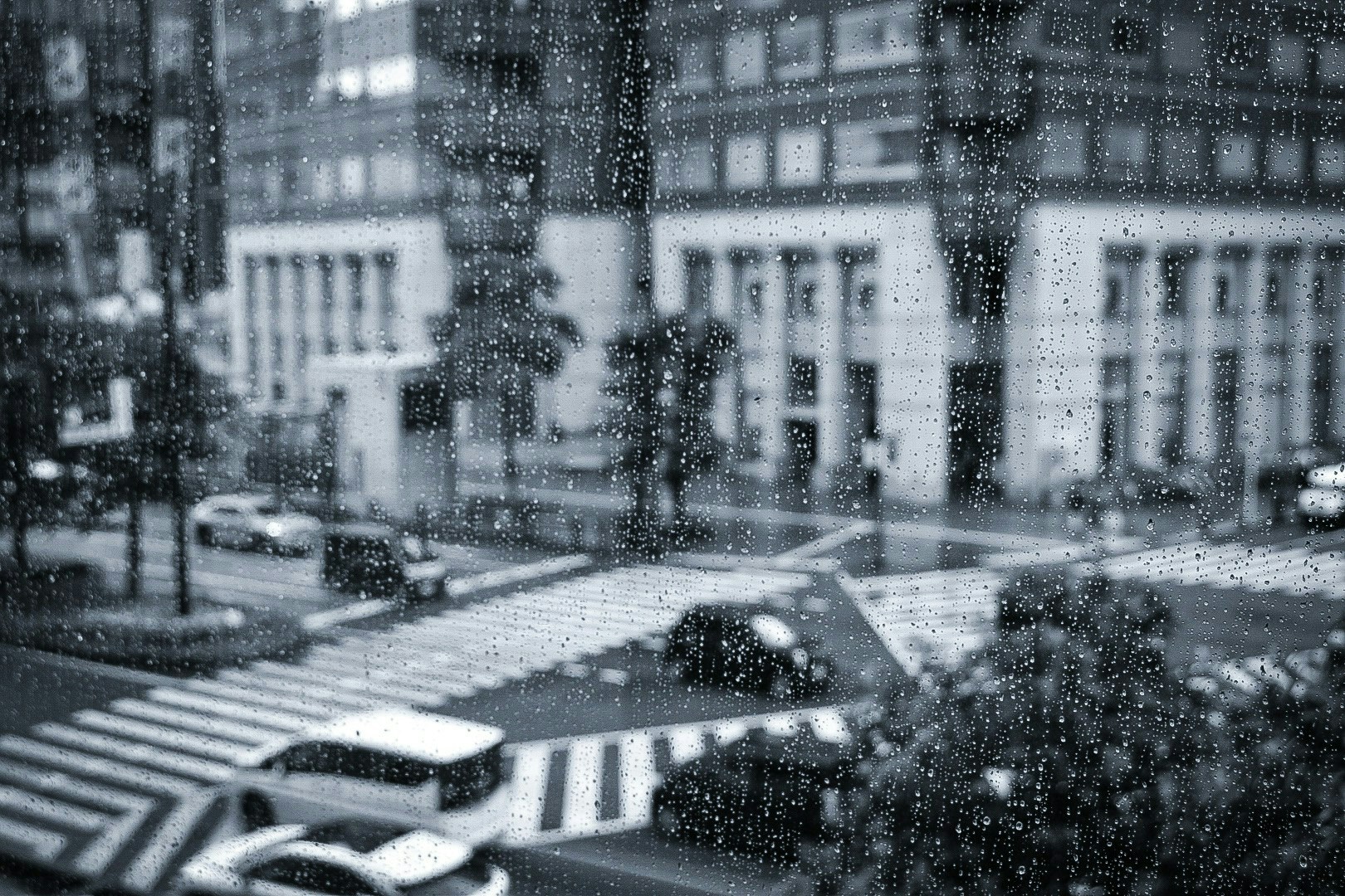 2025-07-living-with-rain-award-image-8