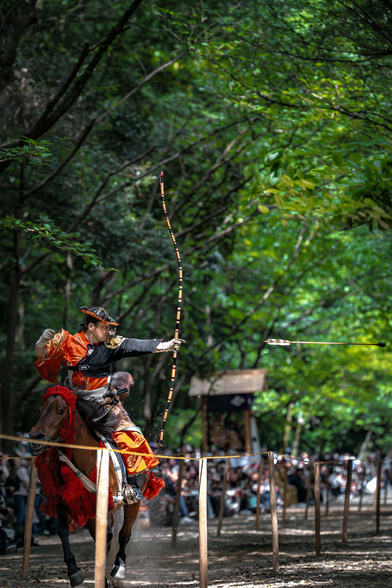 2025-06-photo-contest-pr-1-image-19