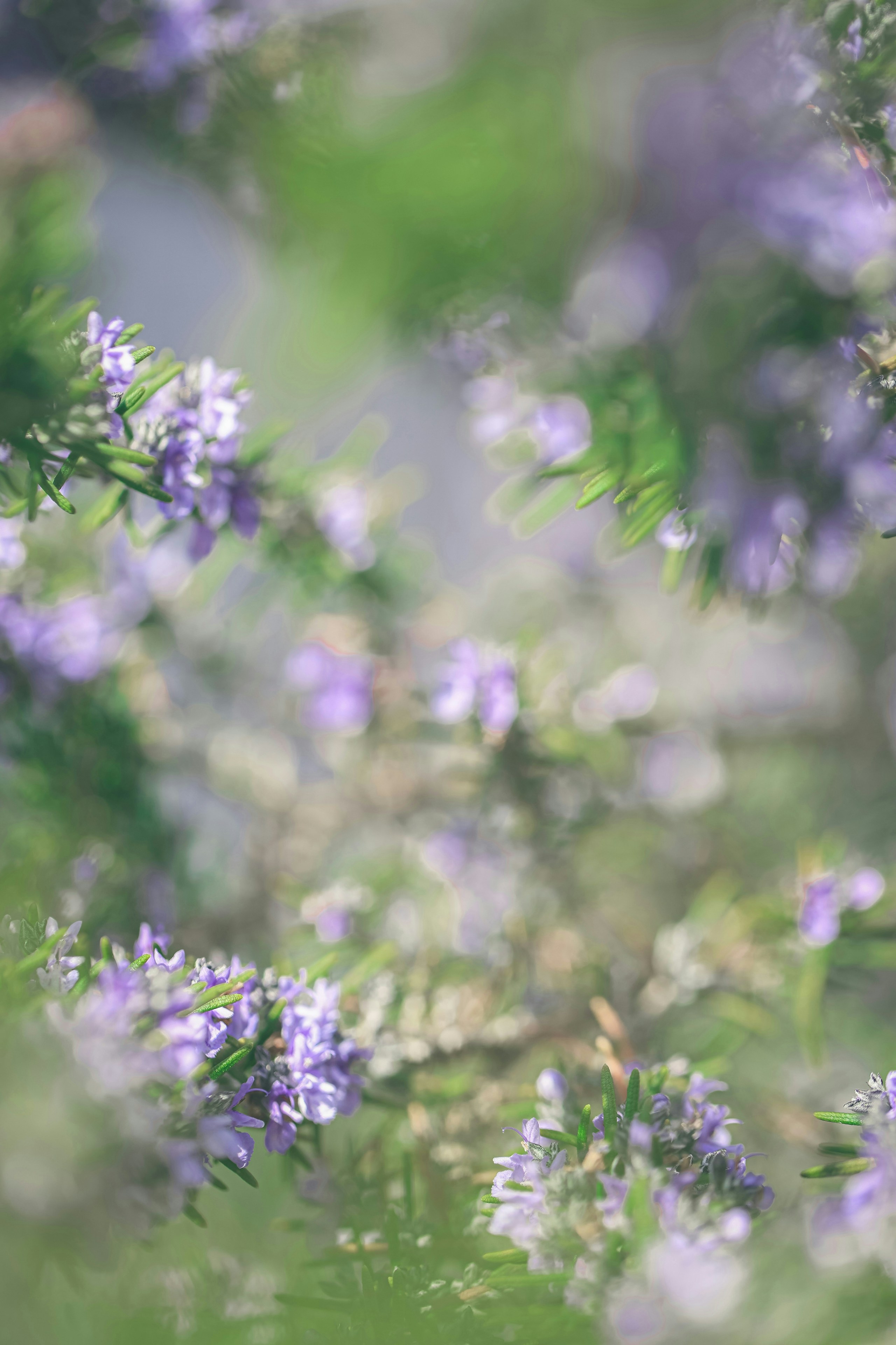 2026-04-find-new-pieces-flower-image-10