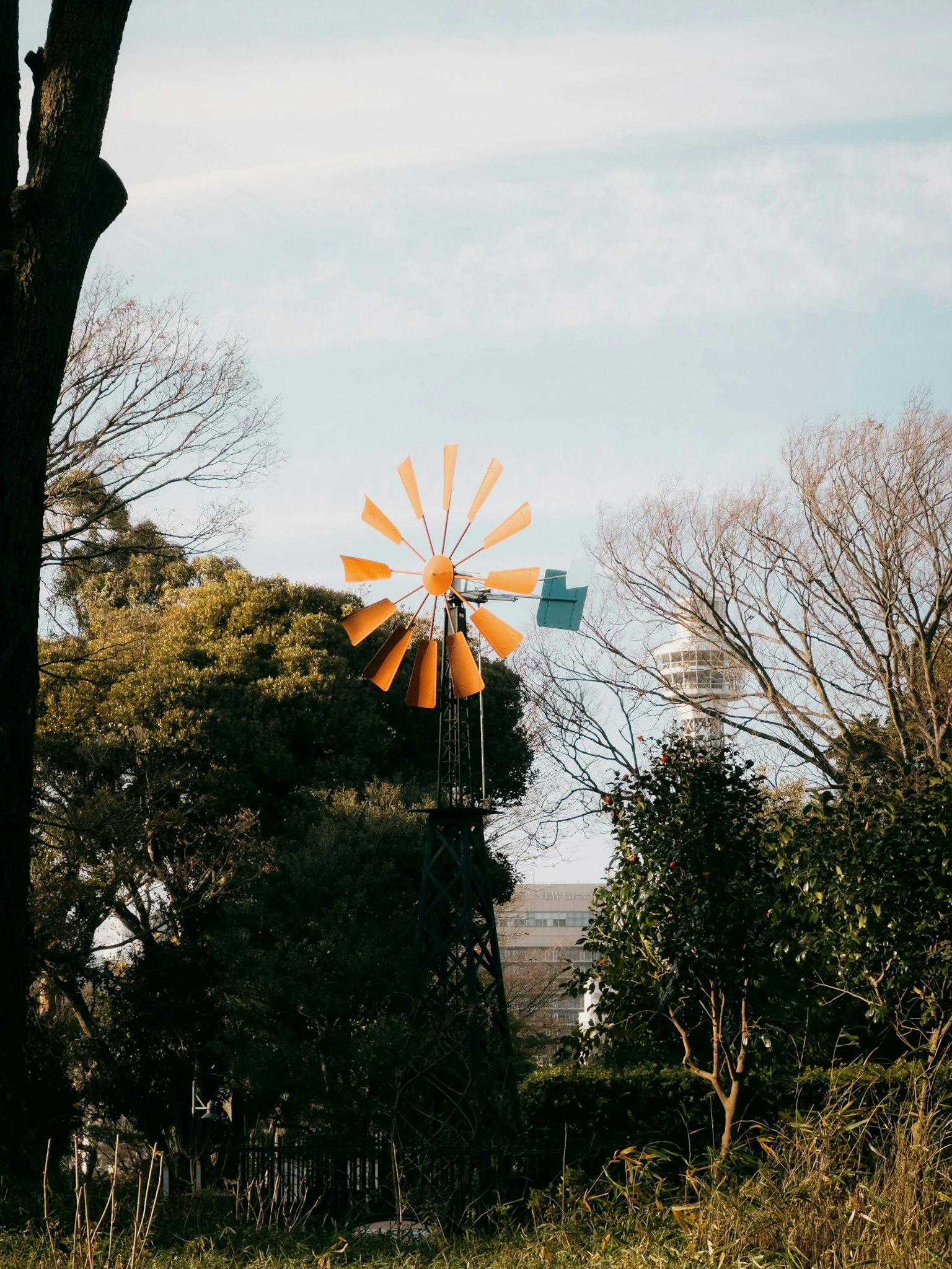 2025-02-yokohama-image-14