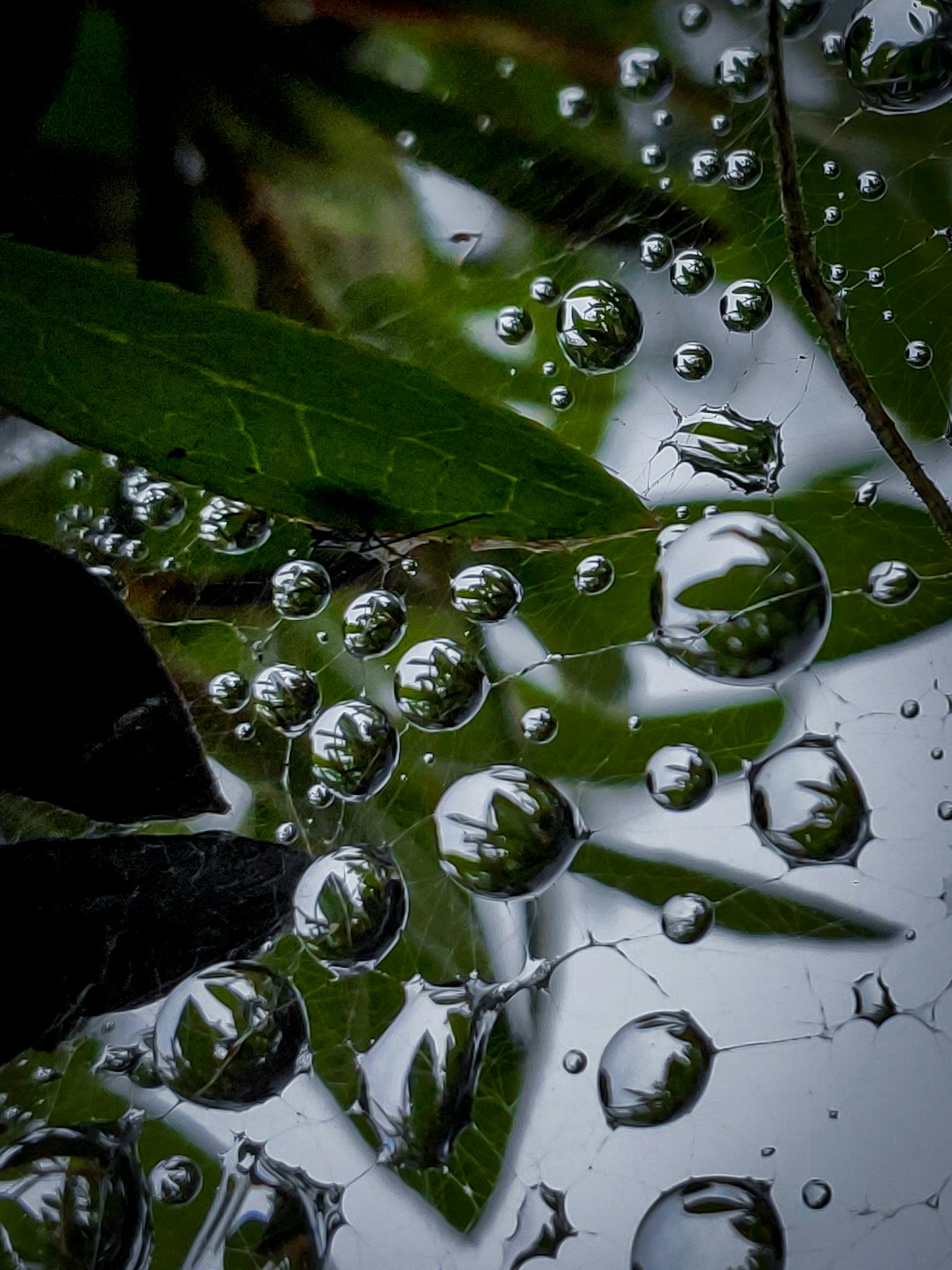 2024-06-rainy-days-in-photography-image-7