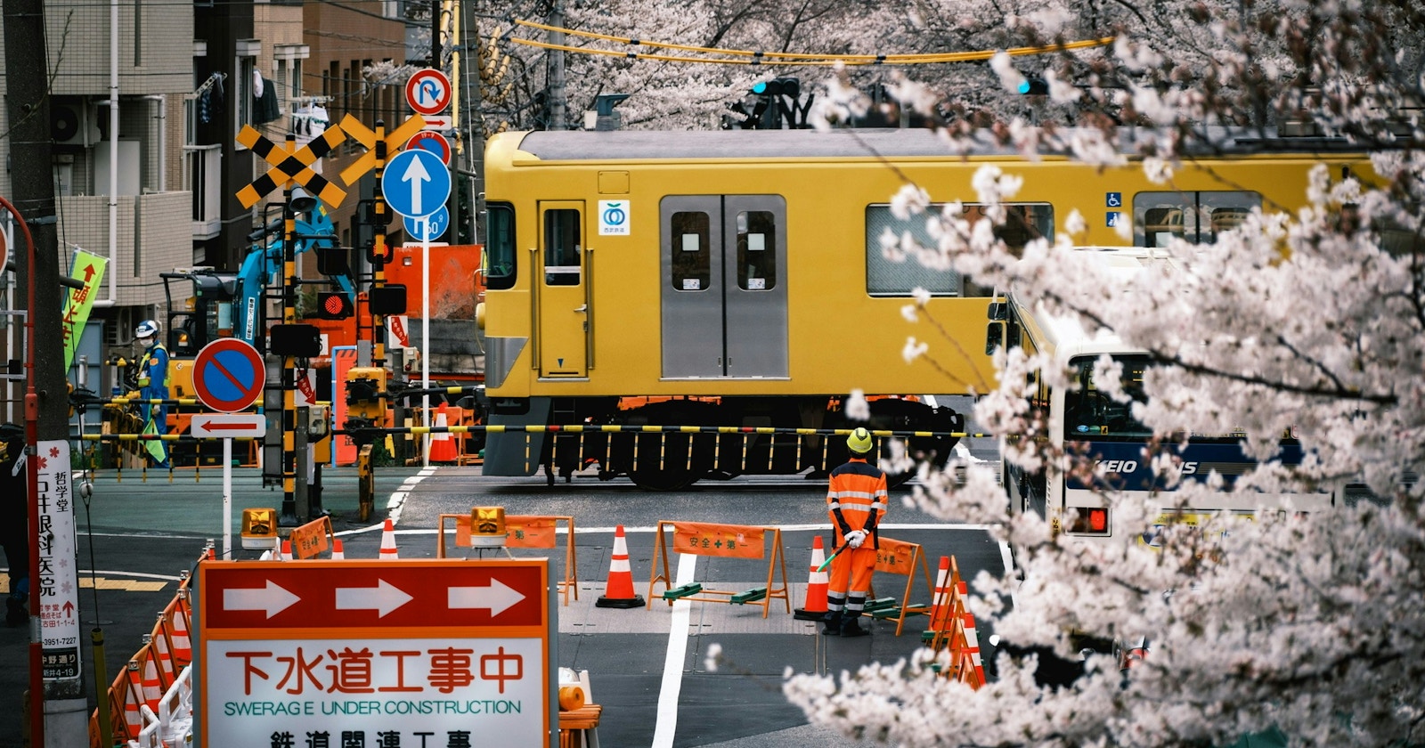 5 Must-Visit Camera Shops in Nakano | Knowledge #285