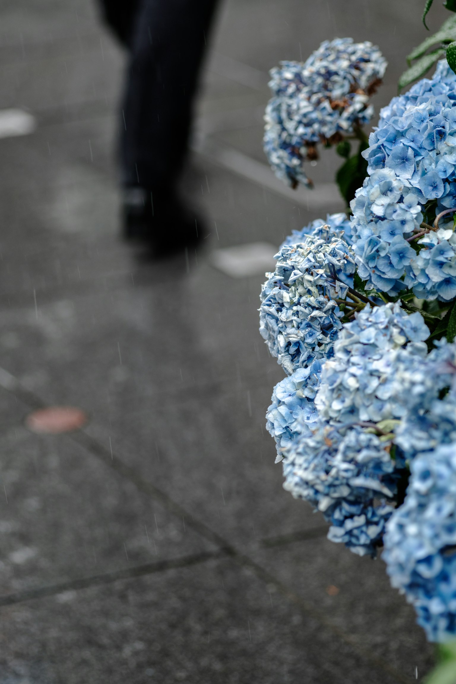 2024-06-rain-report-image-9