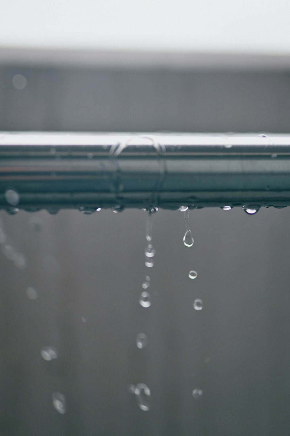 2024-08-focus-technique-image-12