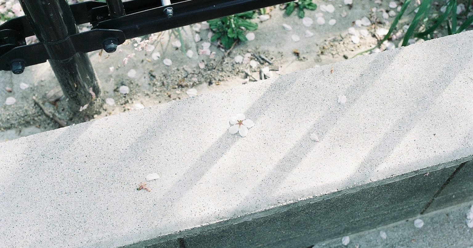 2025-04-z-cinema-red-cover-image