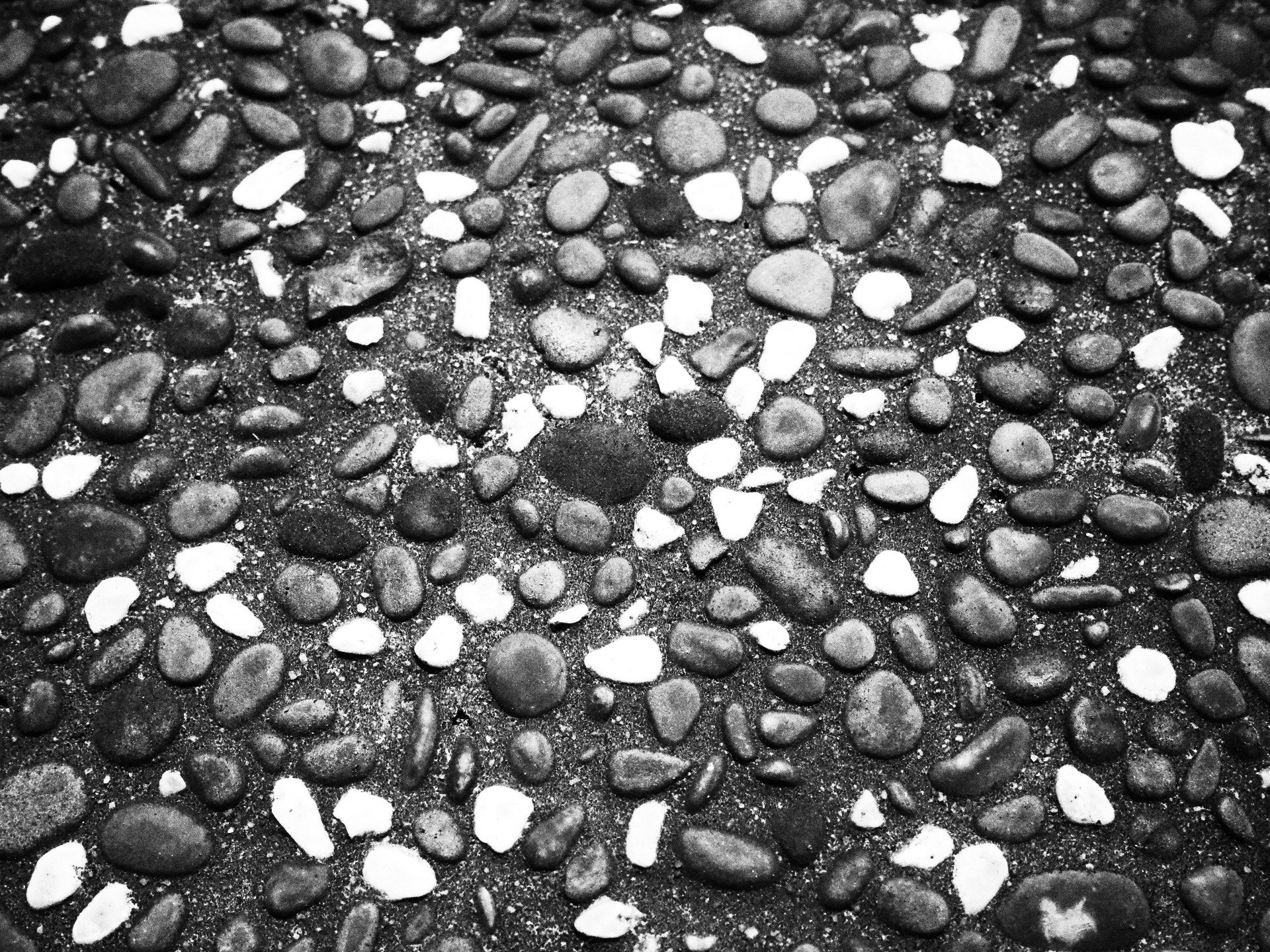 2026-03-pattern-report-cover-image